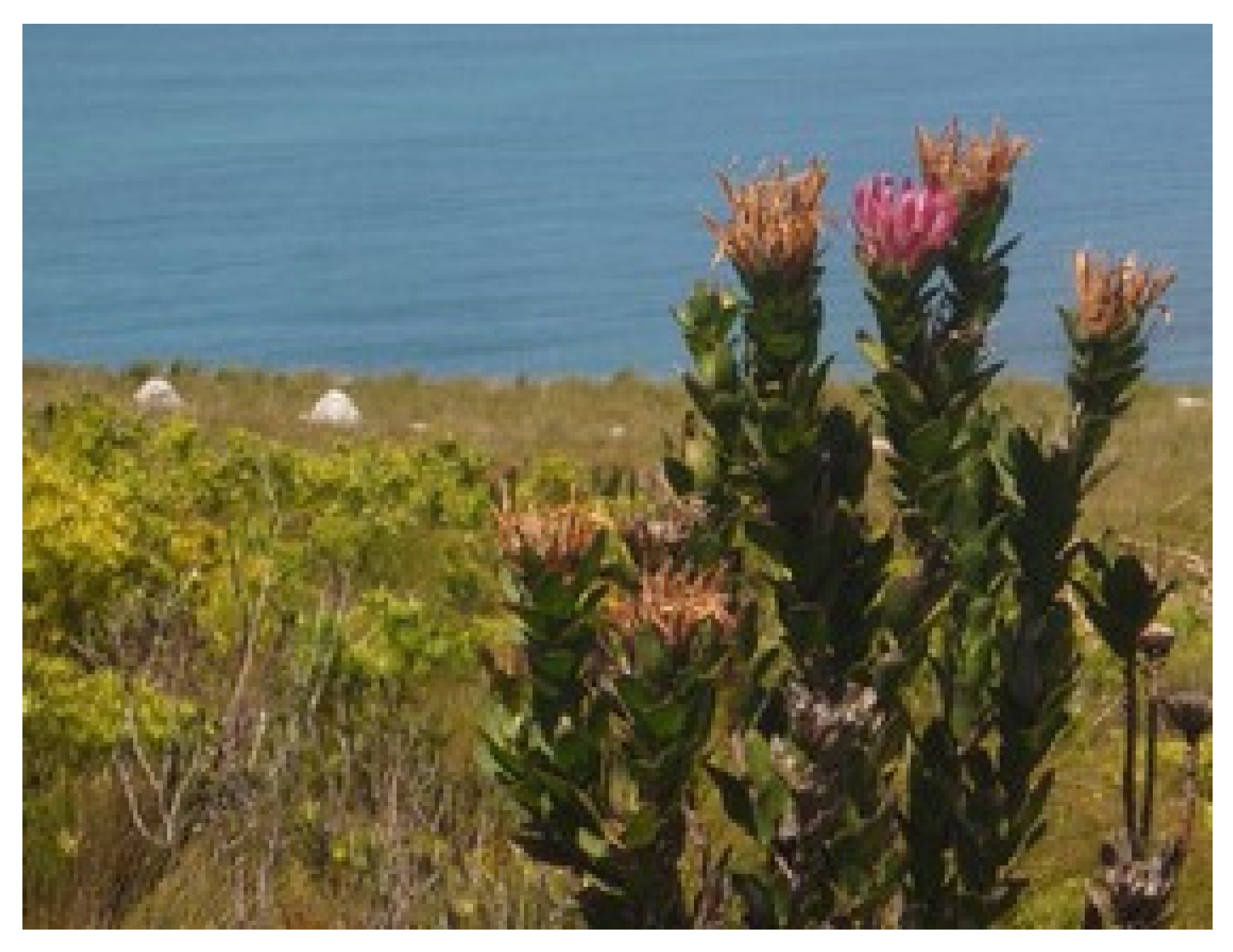 Fermentation 09 00908 g005