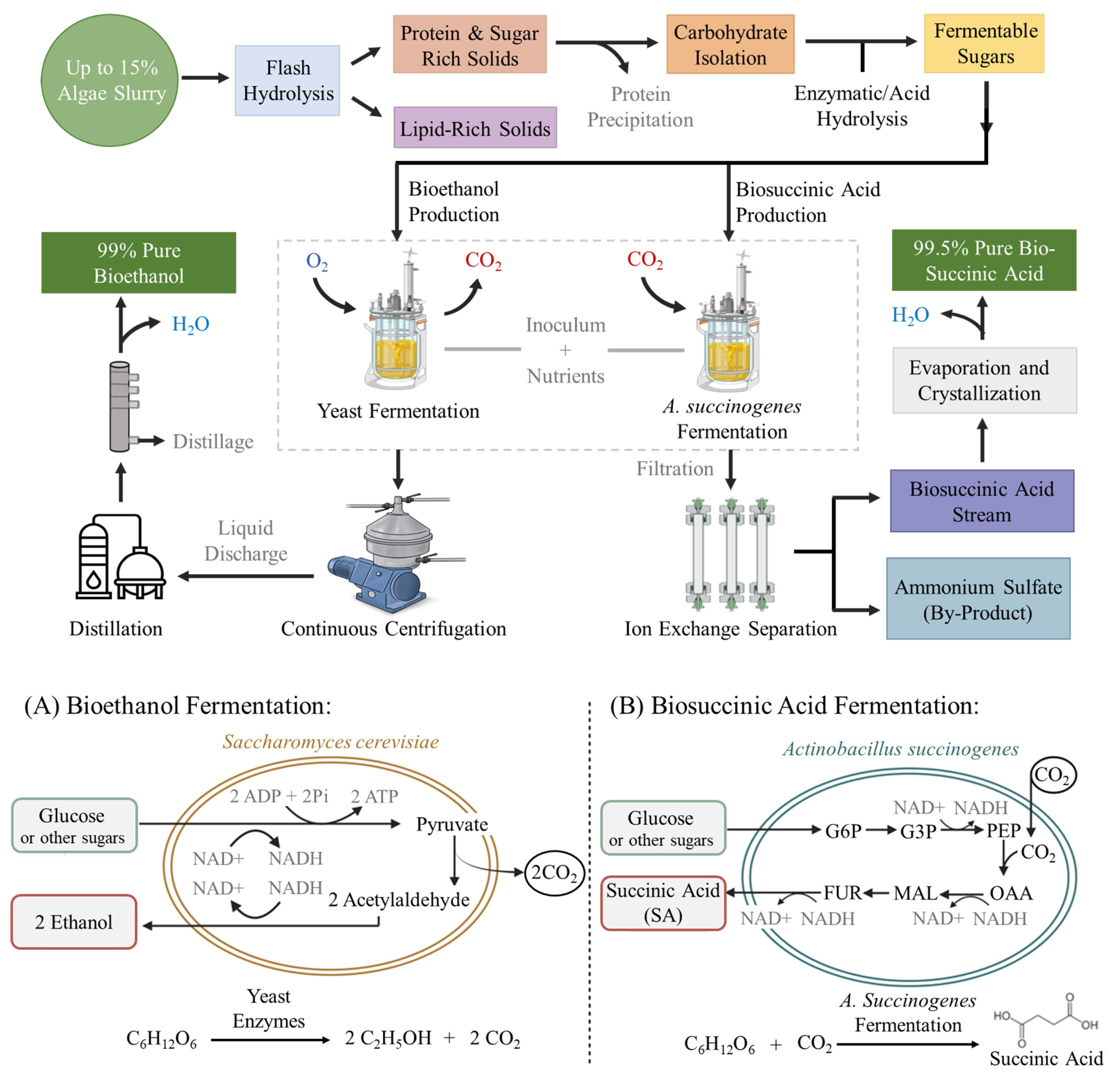 Fermentation 09 00909 g006