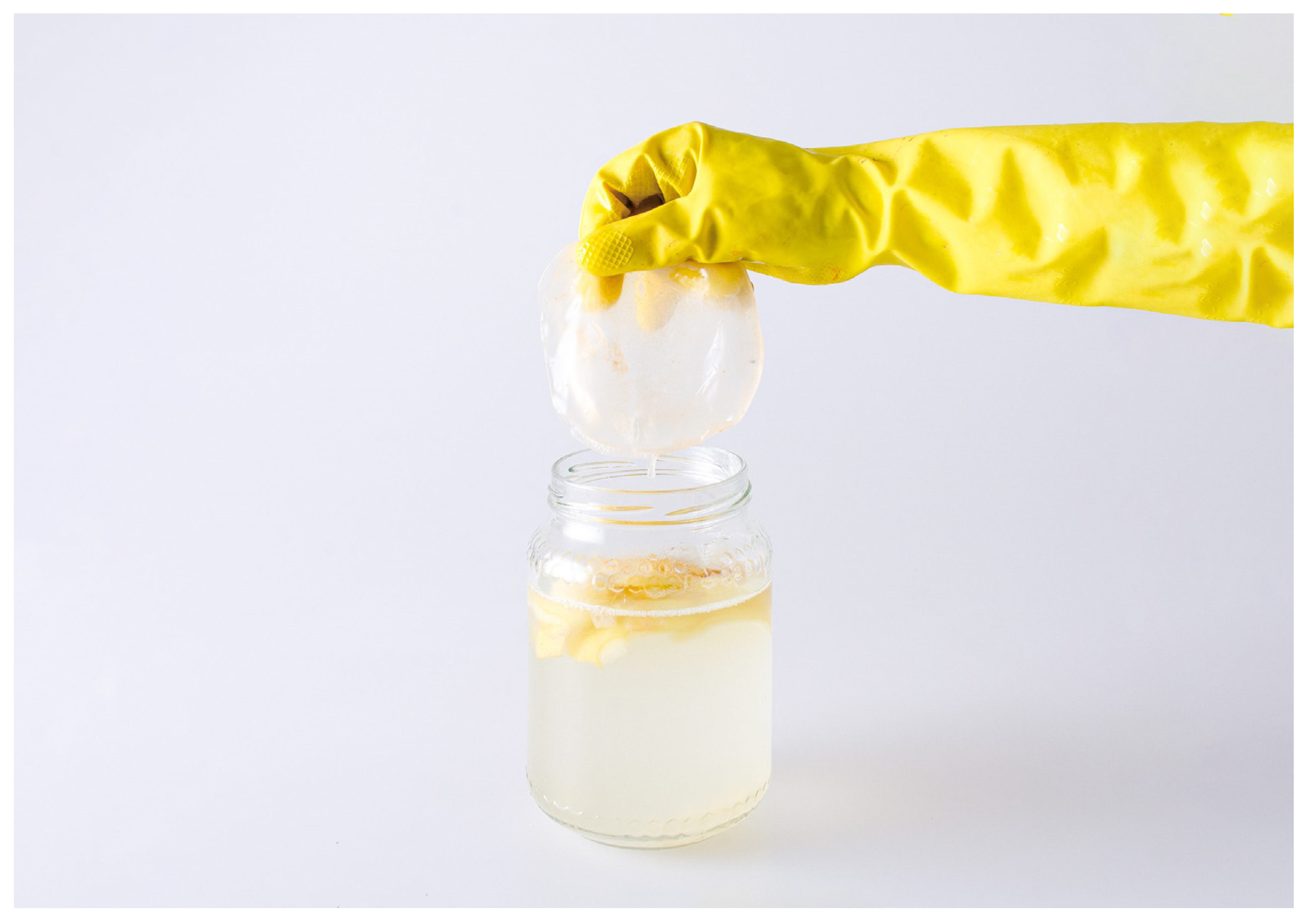 Fermentation 09 00915 g001 Fermentation 09 00915 g001