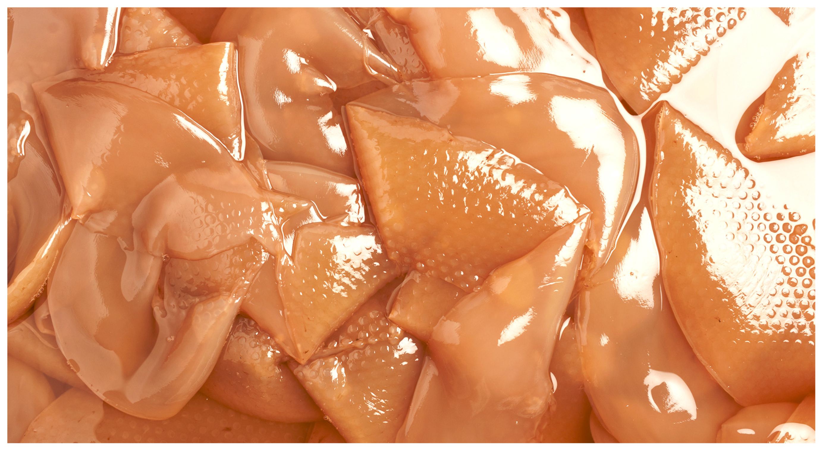 Fermentation 09 00915 g009 Fermentation 09 00915 g009