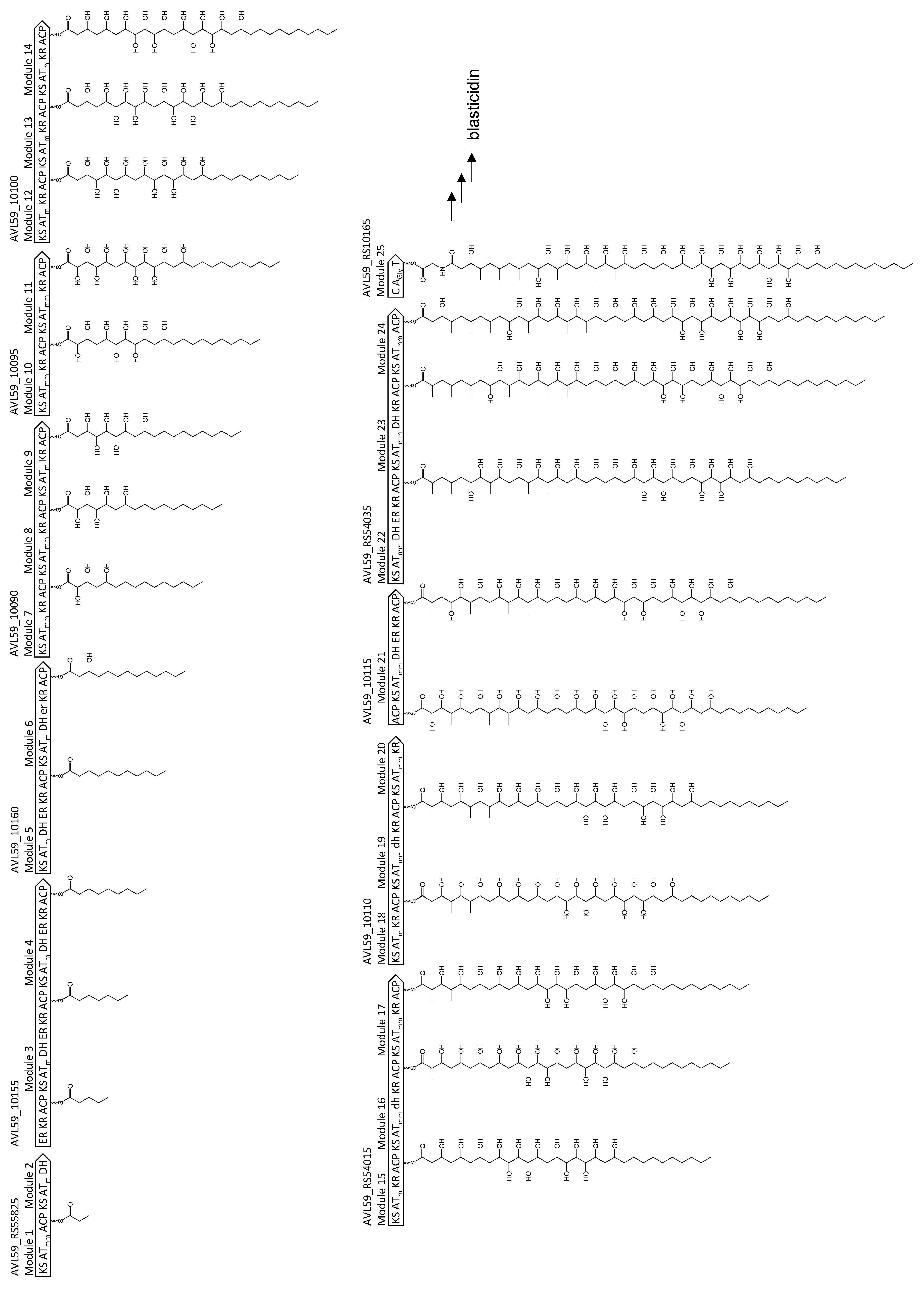 Fermentation 09 00924 g006
