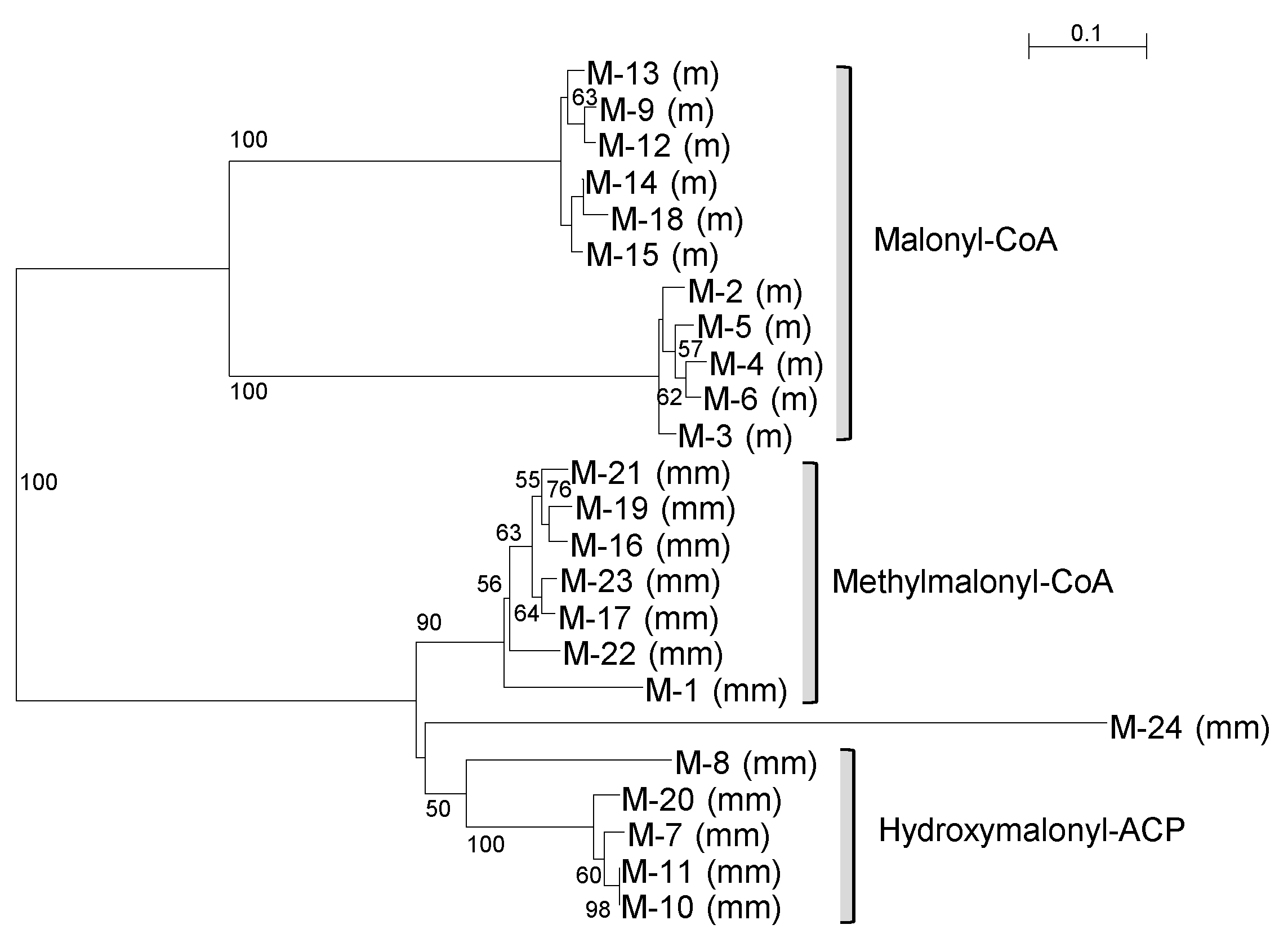 Fermentation 09 00924 g007