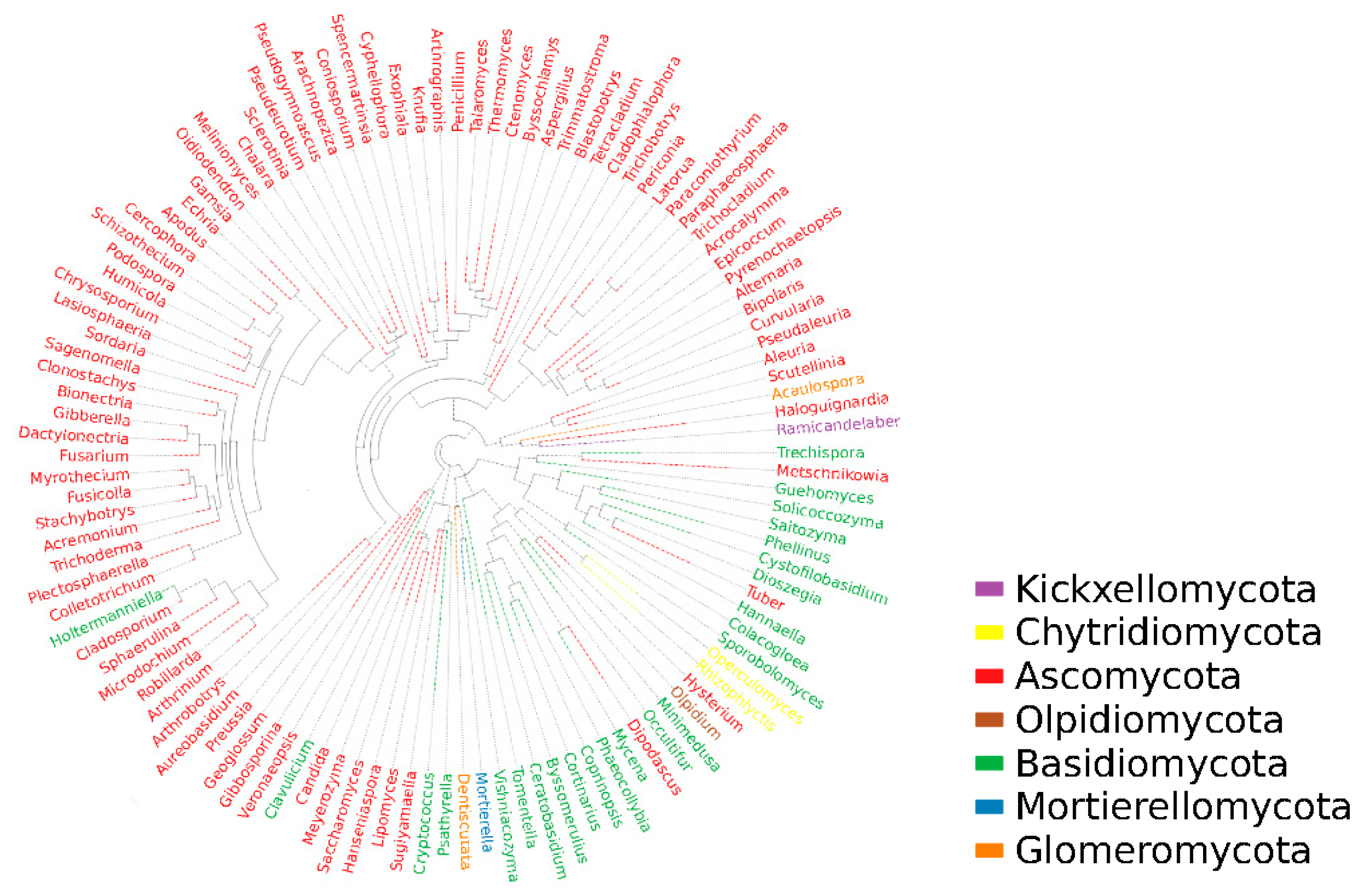 Fermentation 09 00930 g005