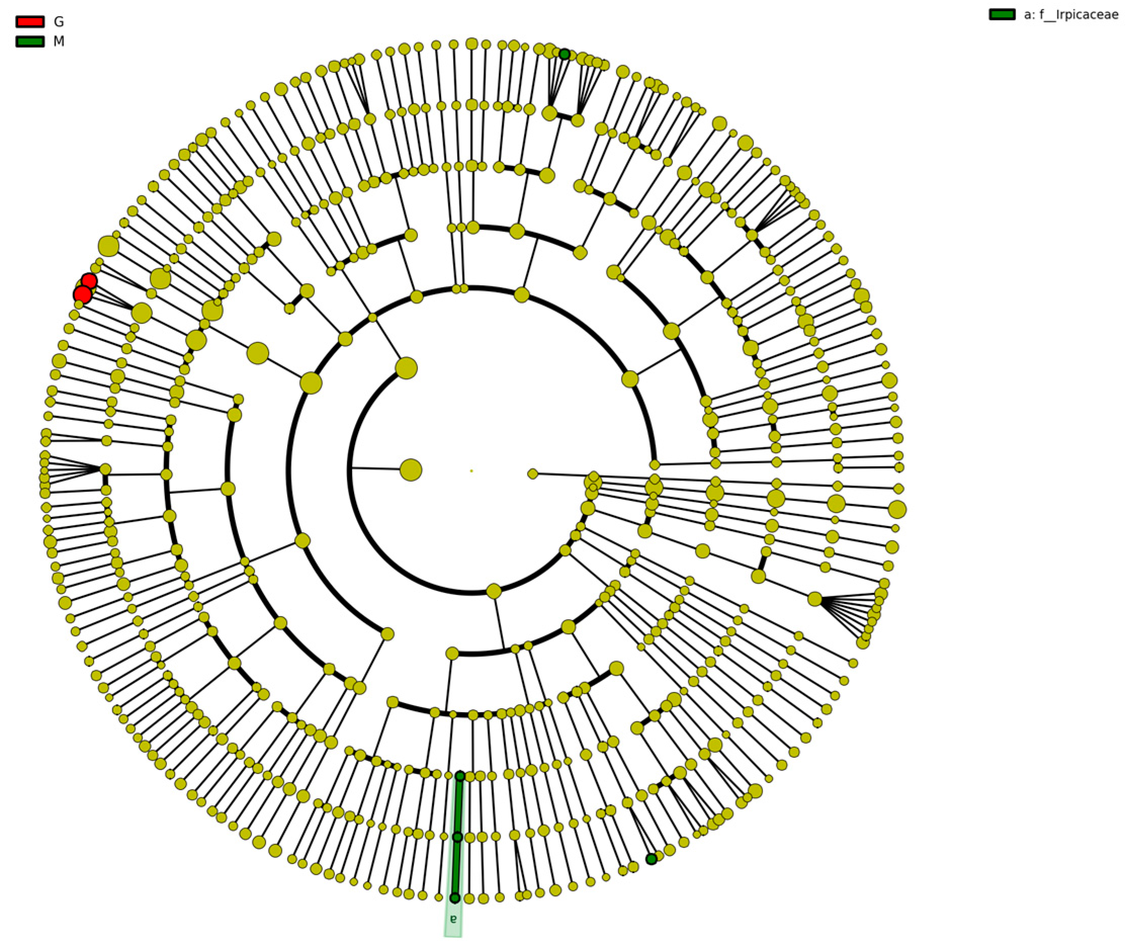 Fermentation 09 00930 g010