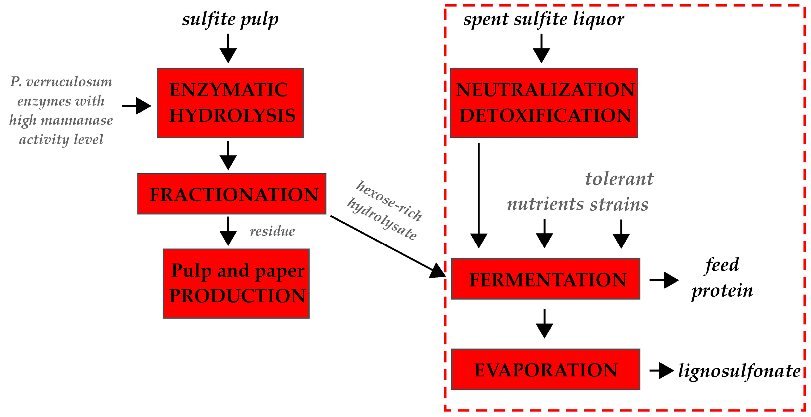 Fermentation 09 00936 g006