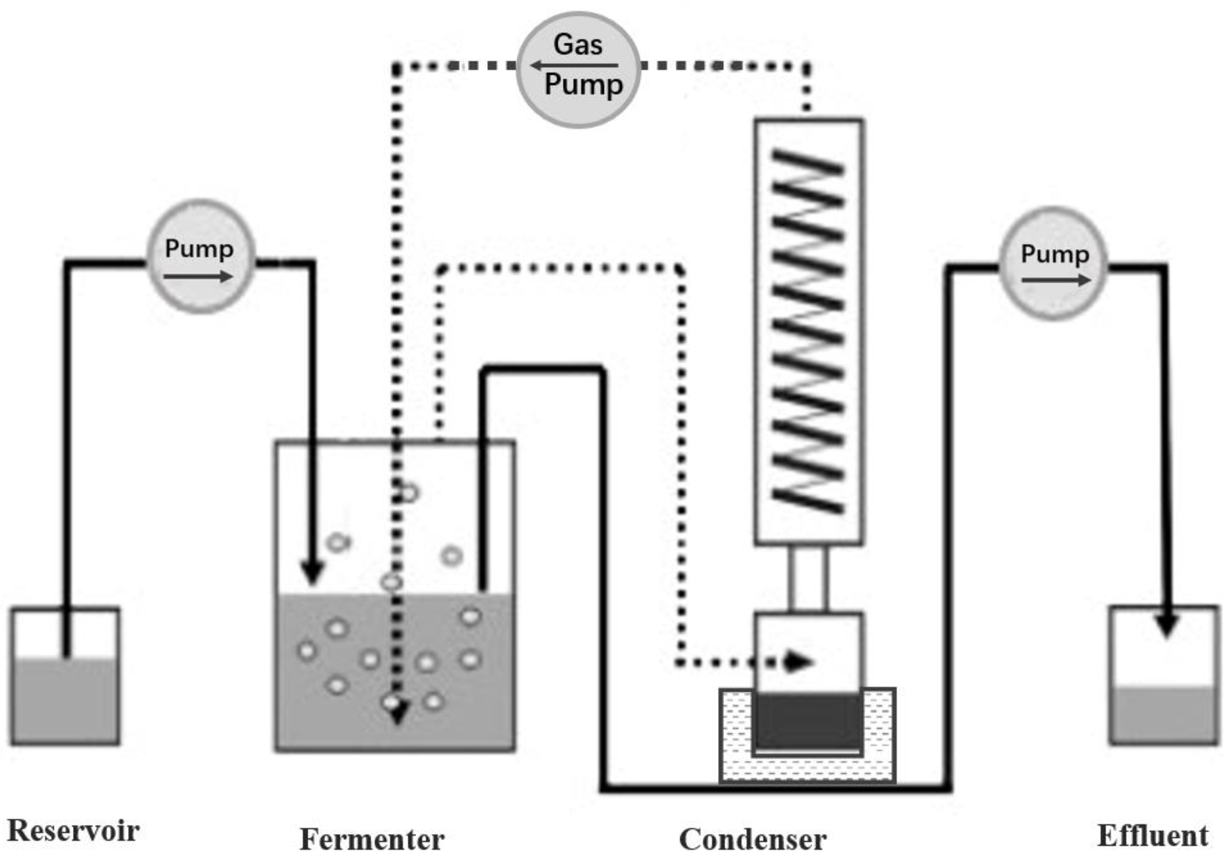 Fermentation 09 00942 g002