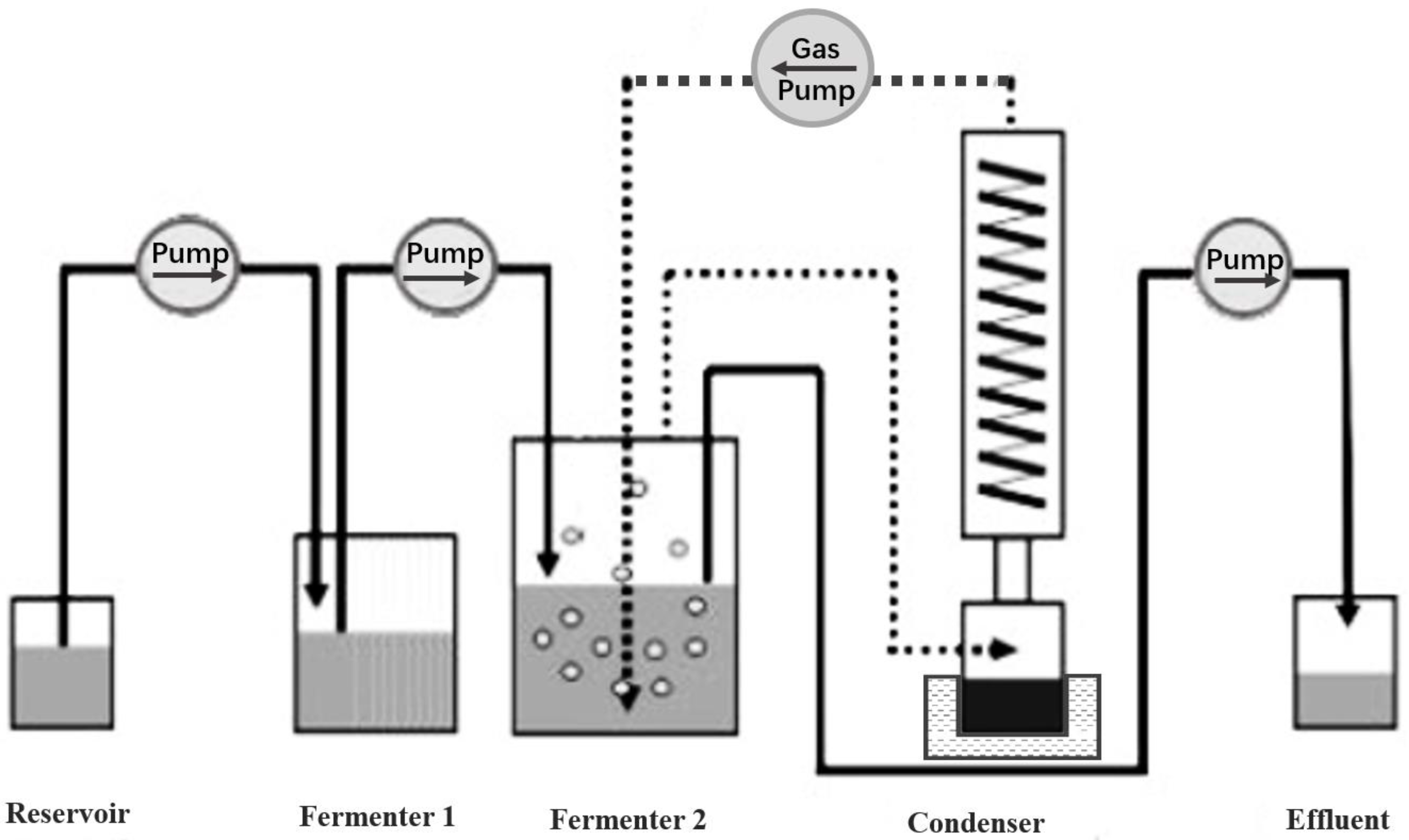 Fermentation 09 00942 g003