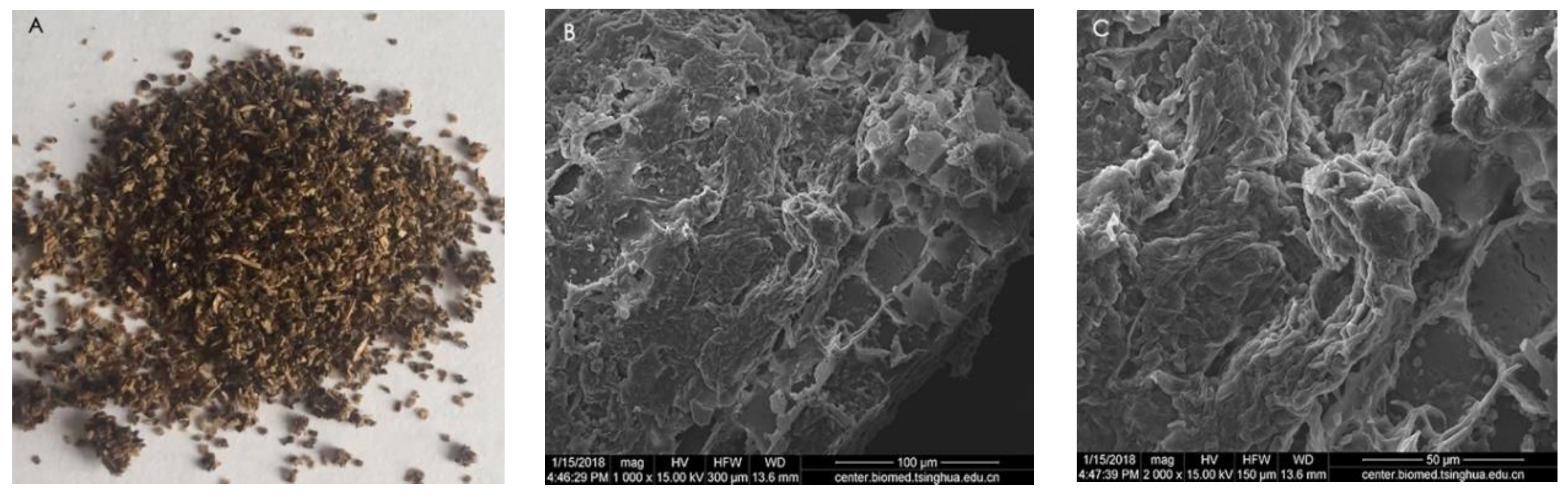 Fermentation 09 00942 g007