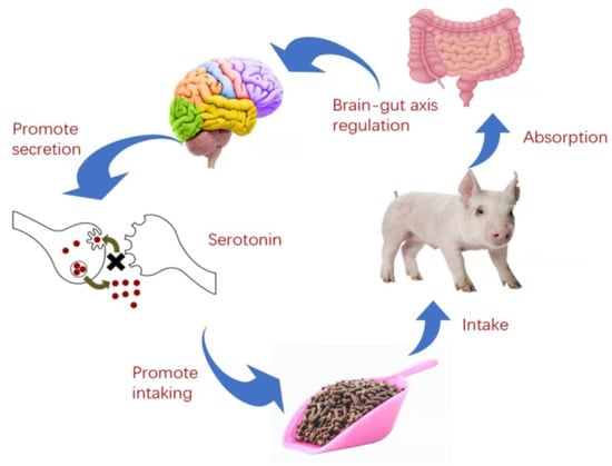 Fermentation 09 00947 g002