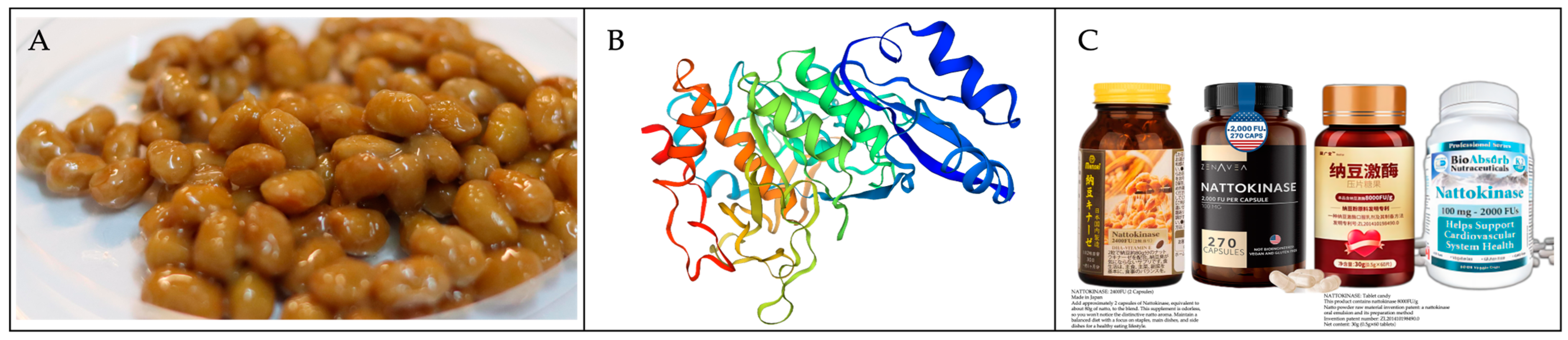 Fermentation 09 00950 g001