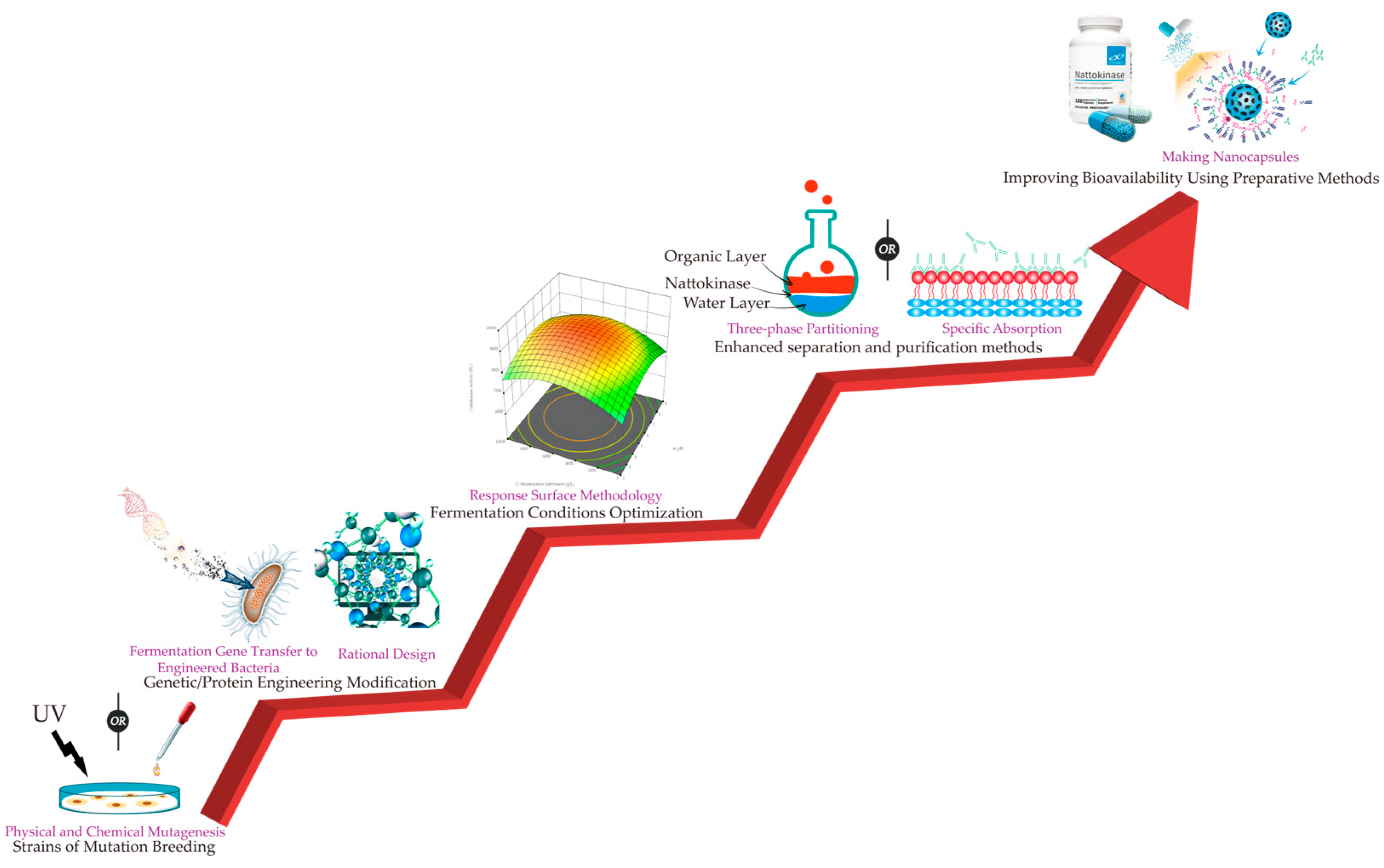 Fermentation 09 00950 g003