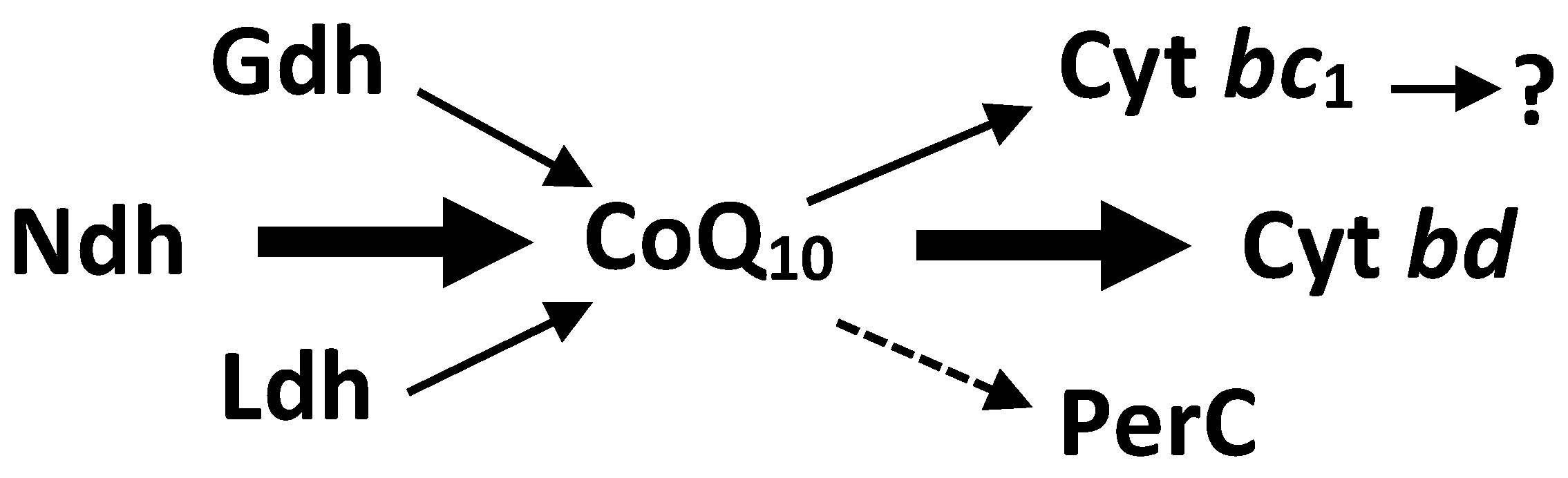 Fermentation 09 00951 g001