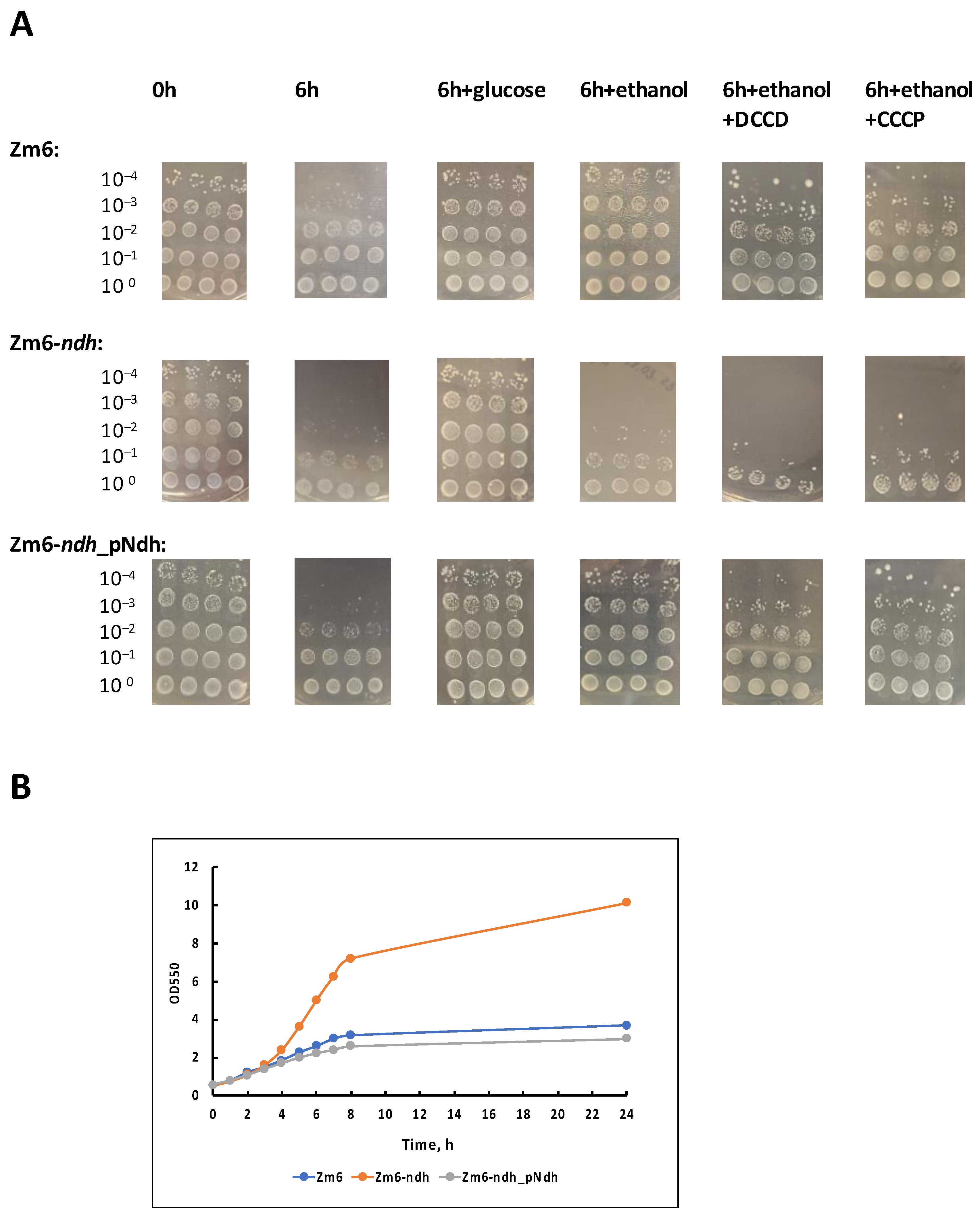 Fermentation 09 00951 g002