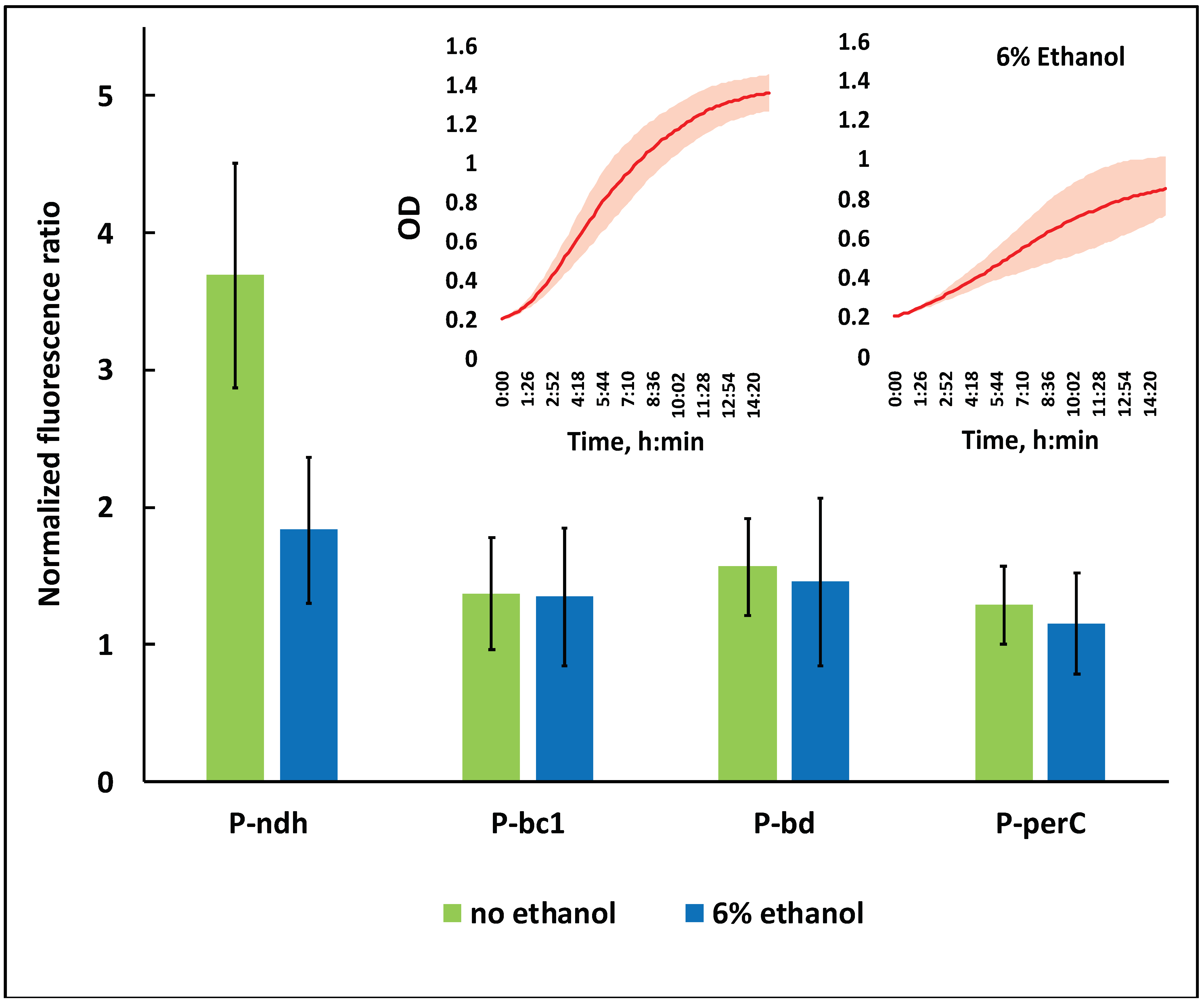 Fermentation 09 00951 g003
