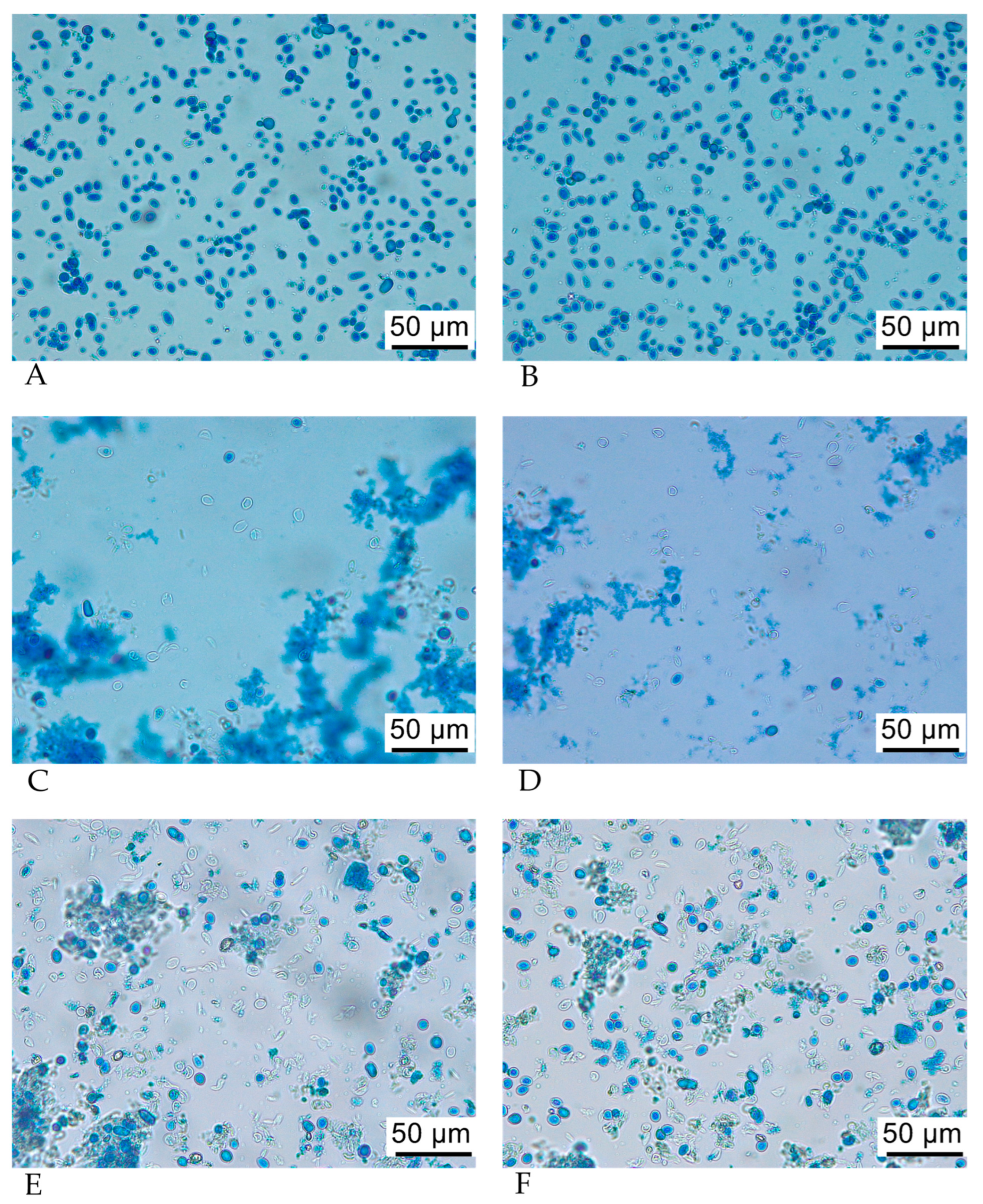 Fermentation 09 00952 g004