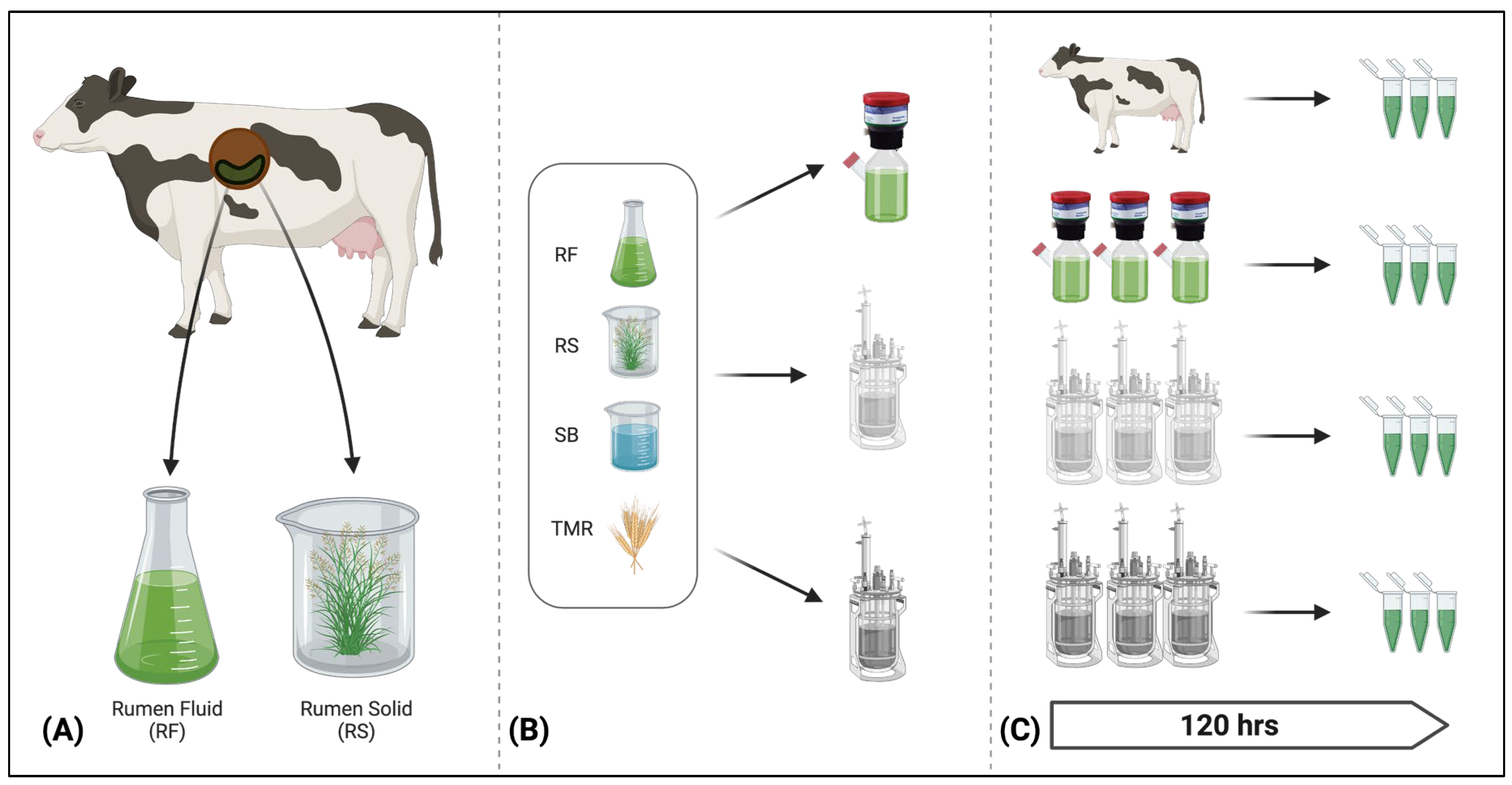 Fermentation 09 00953 g002