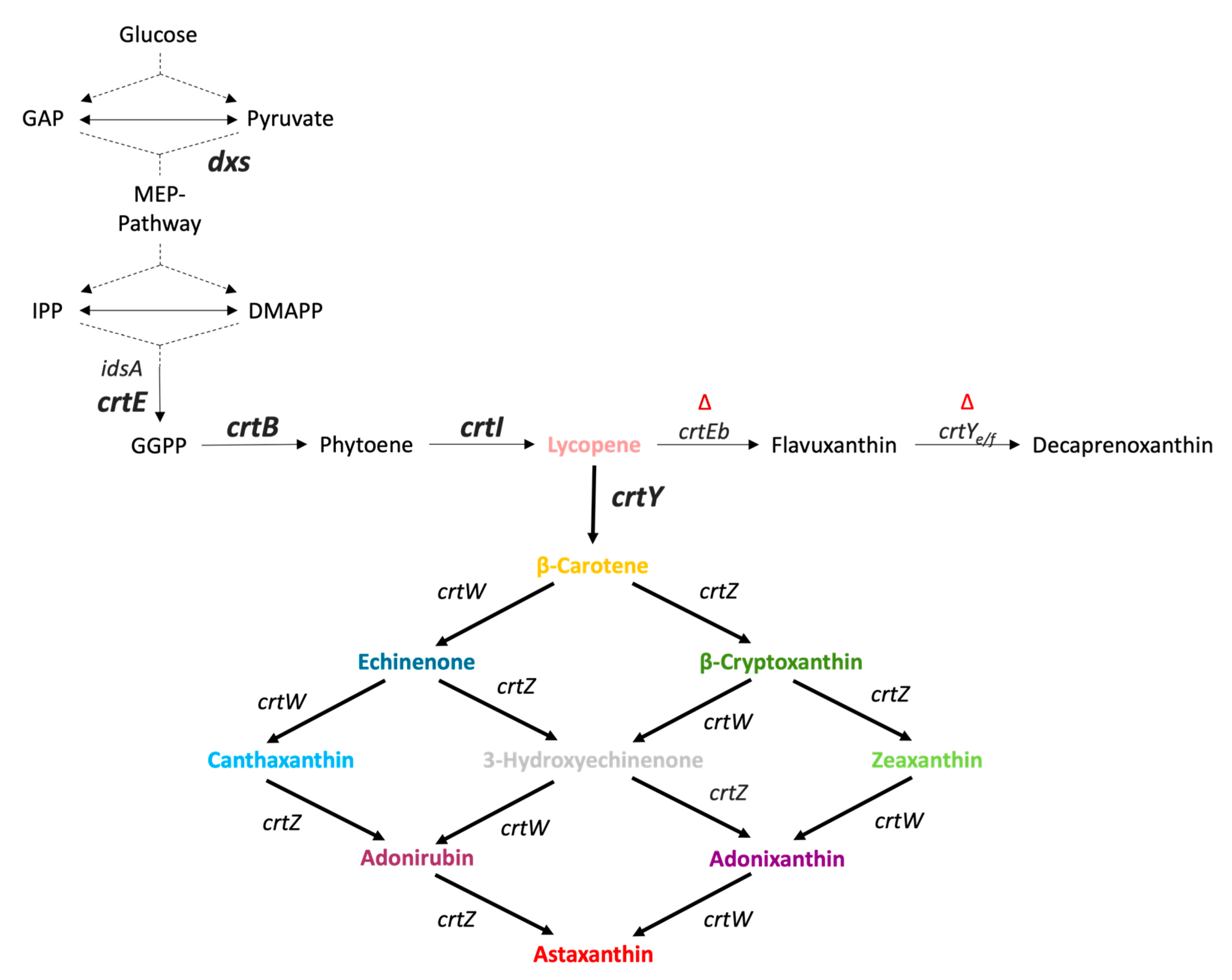 Fermentation 09 00969 g001