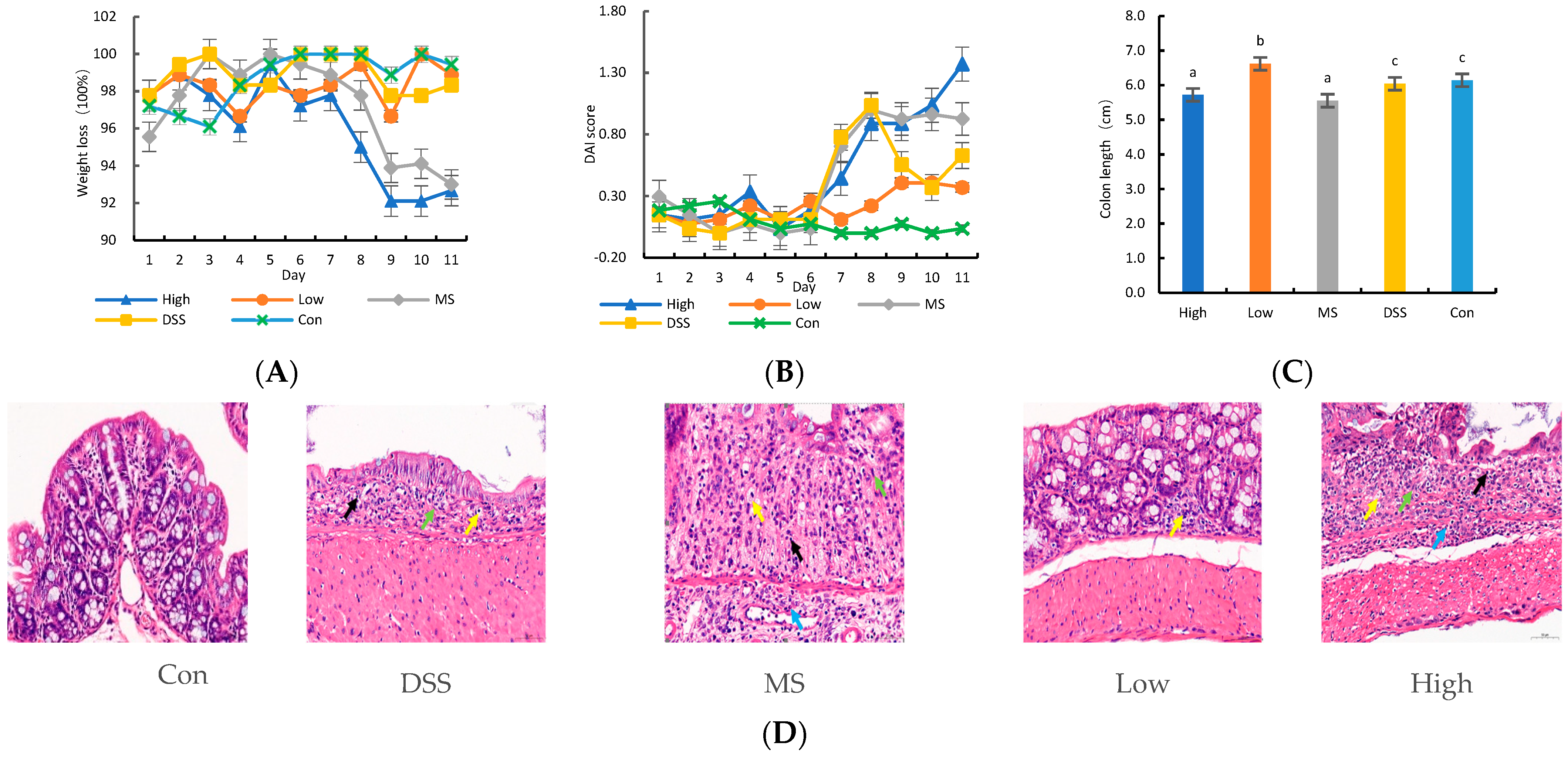 Fermentation 09 00971 g001