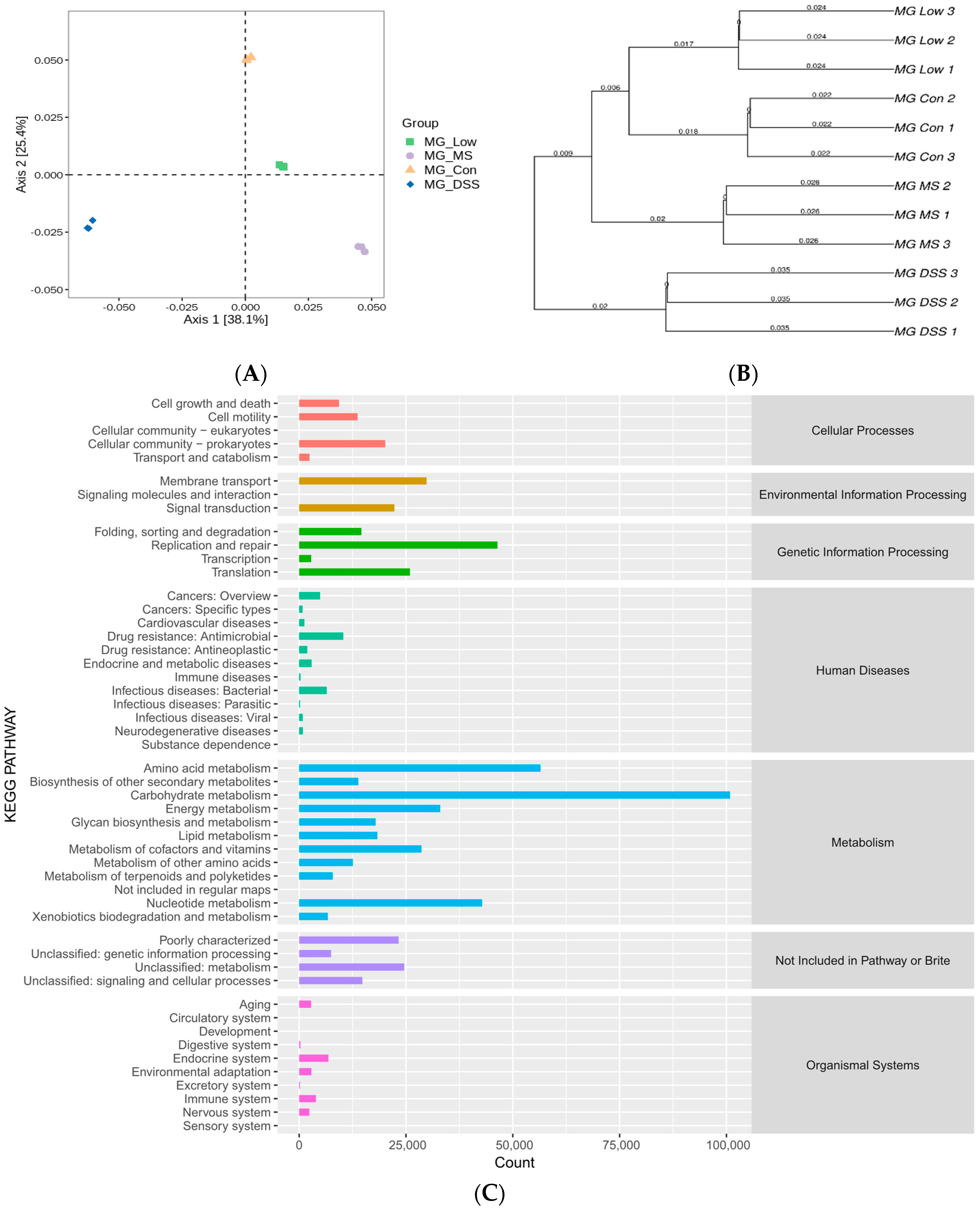 Fermentation 09 00971 g004