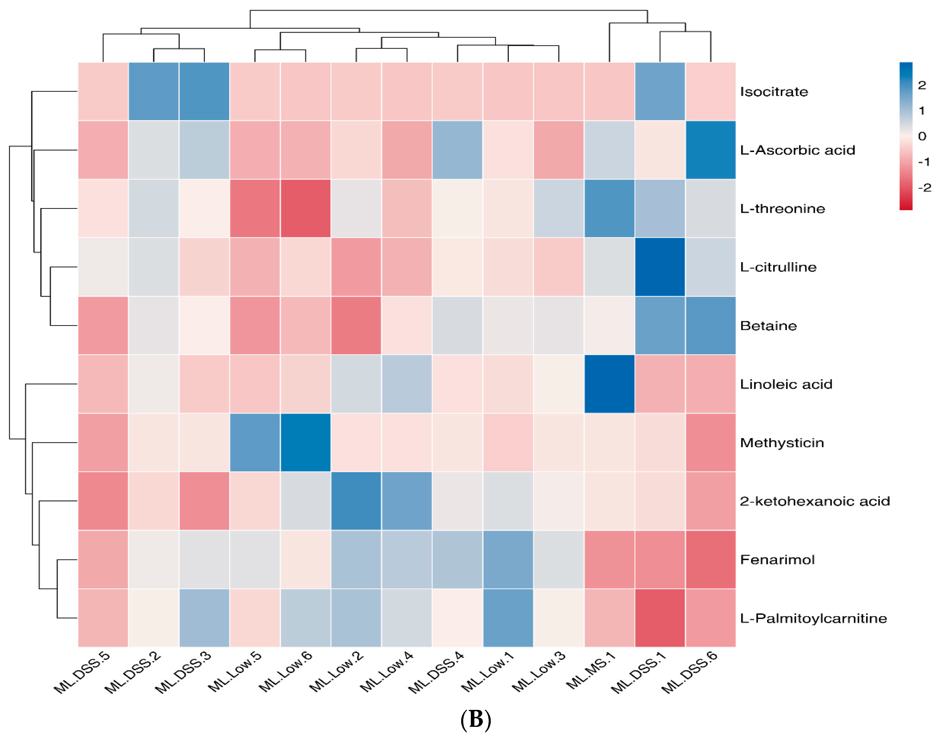 Fermentation 09 00971 g009b