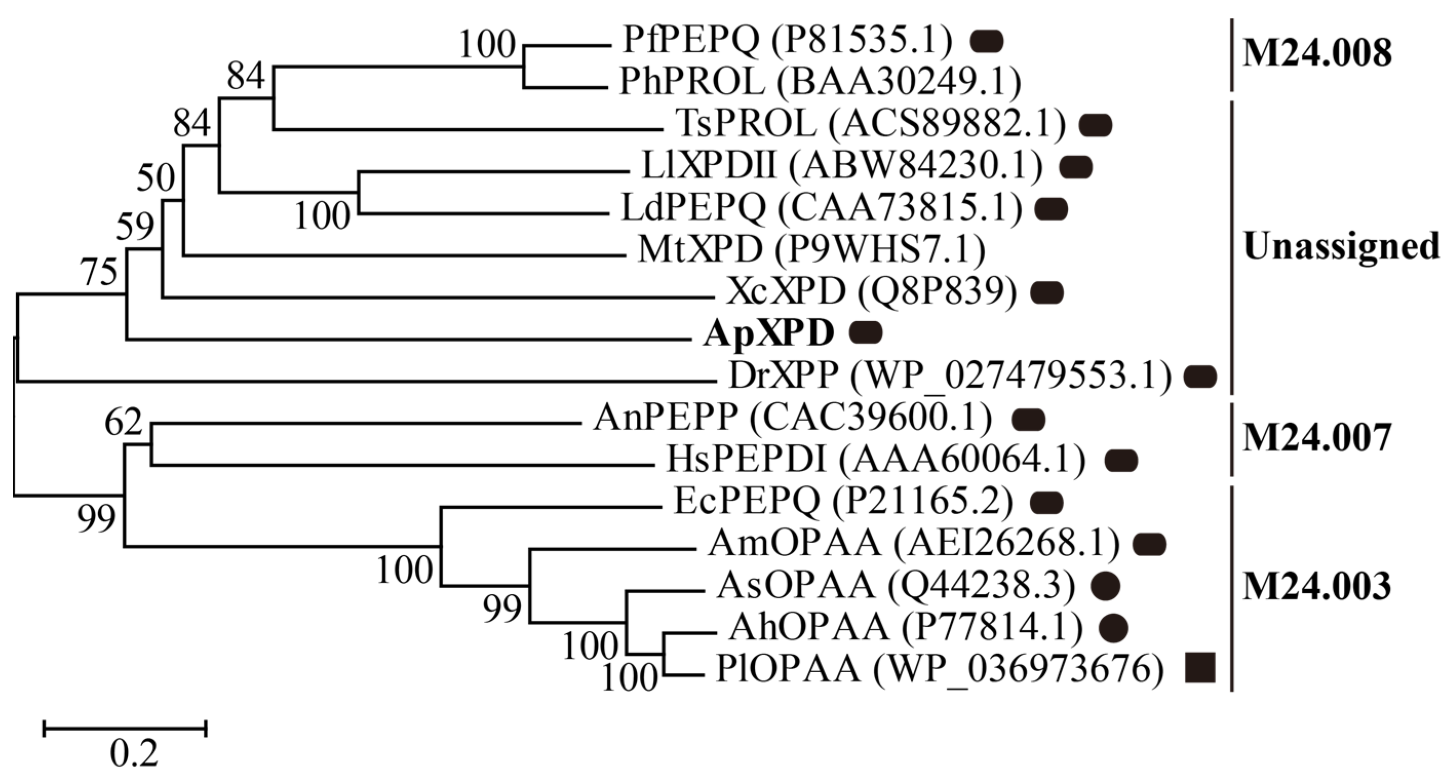 Fermentation 09 00978 g001