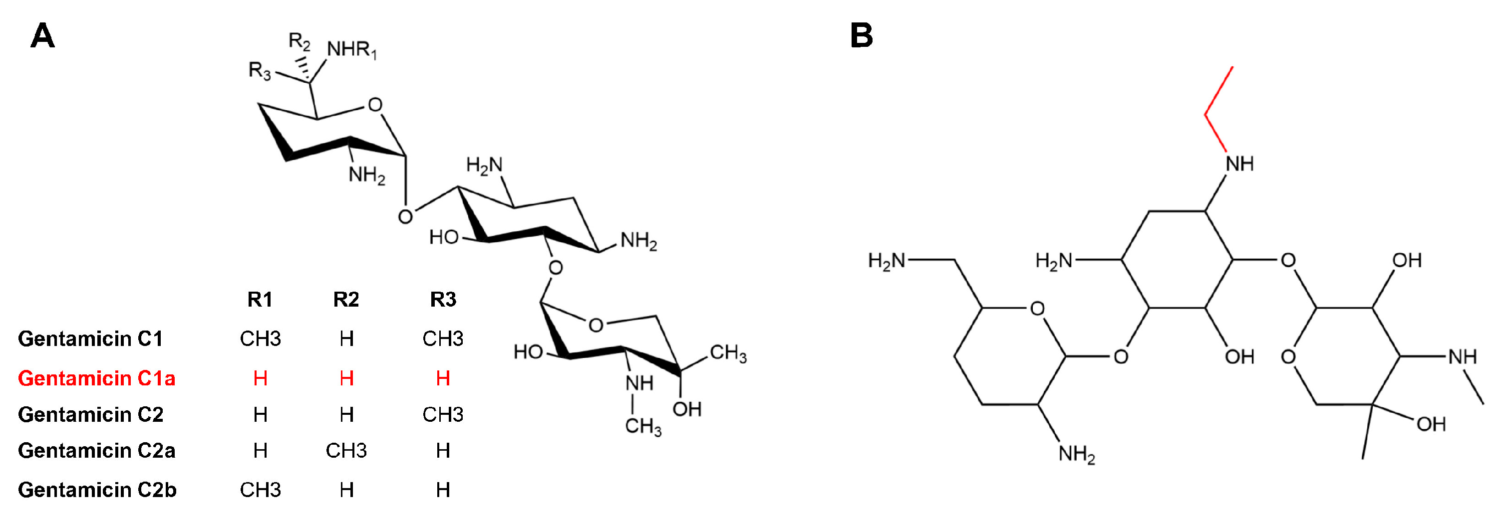 Fermentation 09 00997 g002
