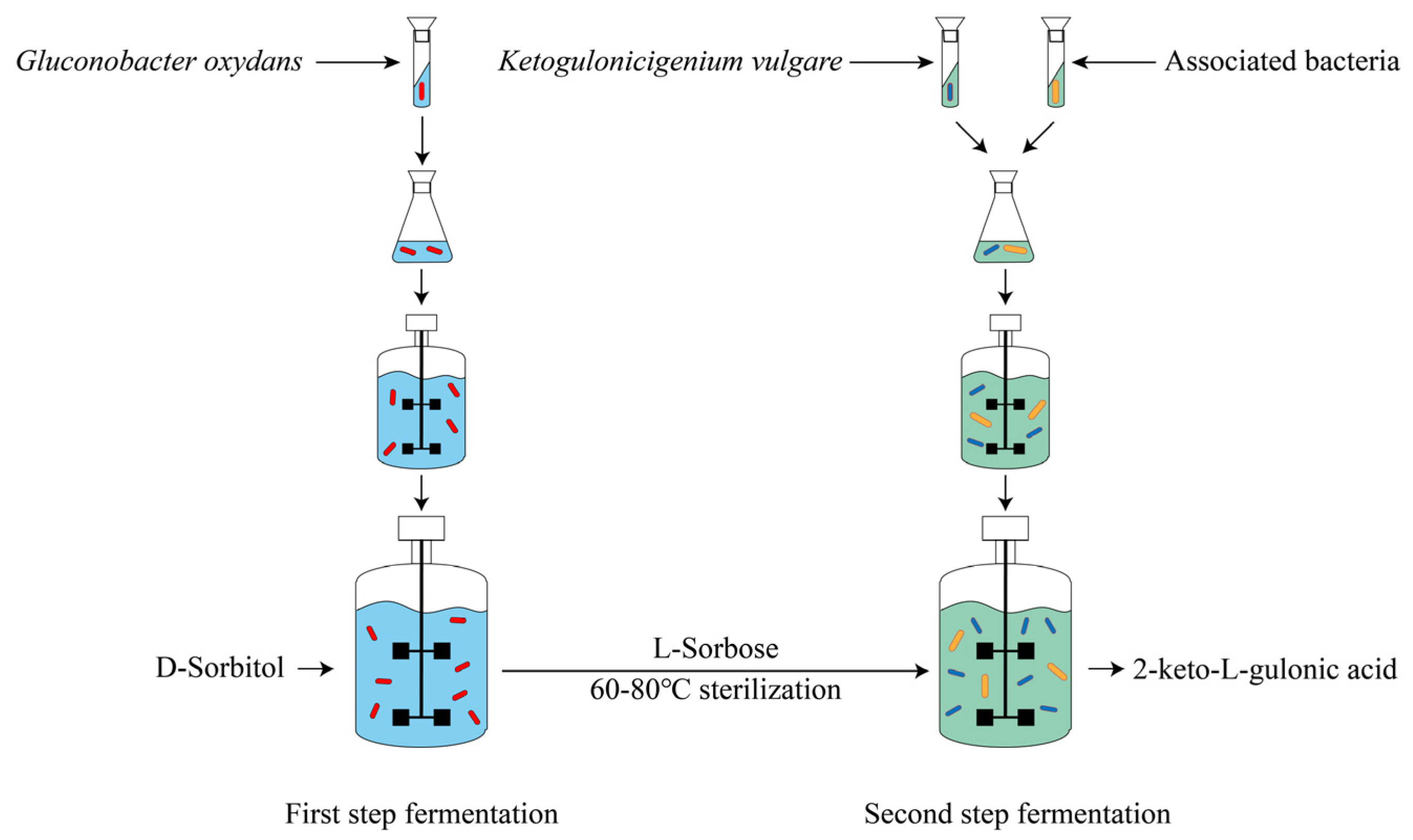 Fermentation 09 01000 g001