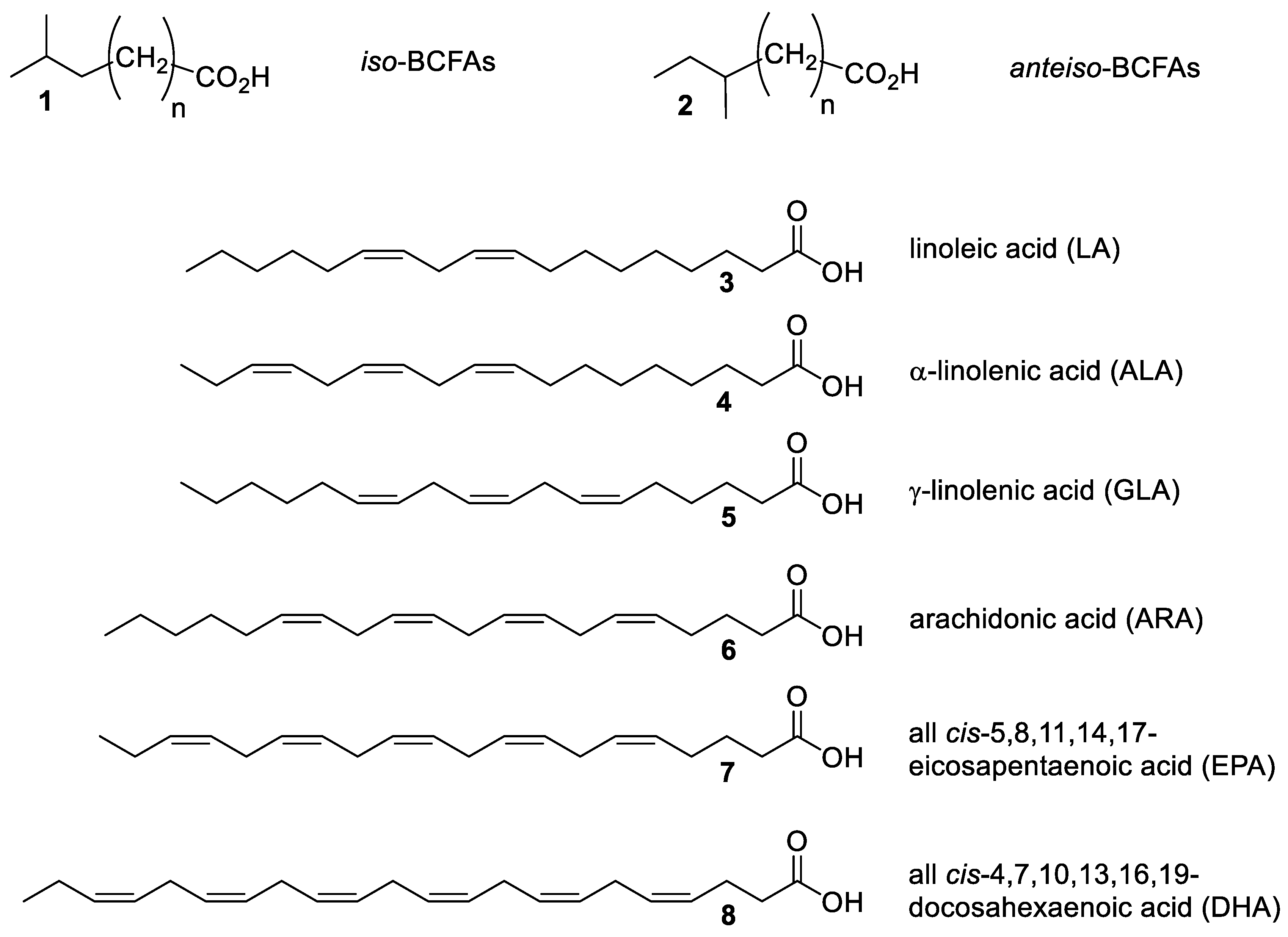 Fermentation 09 01008 g001
