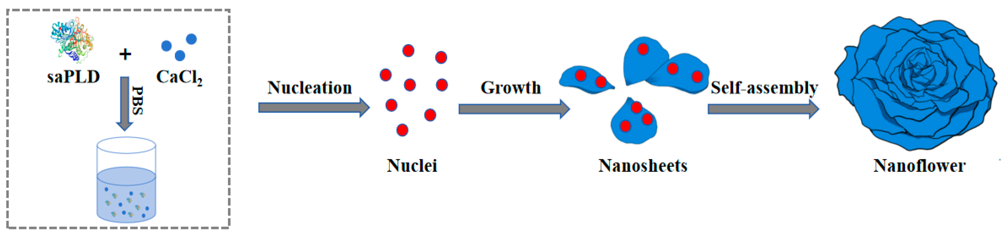 Fermentation 09 01016 g001