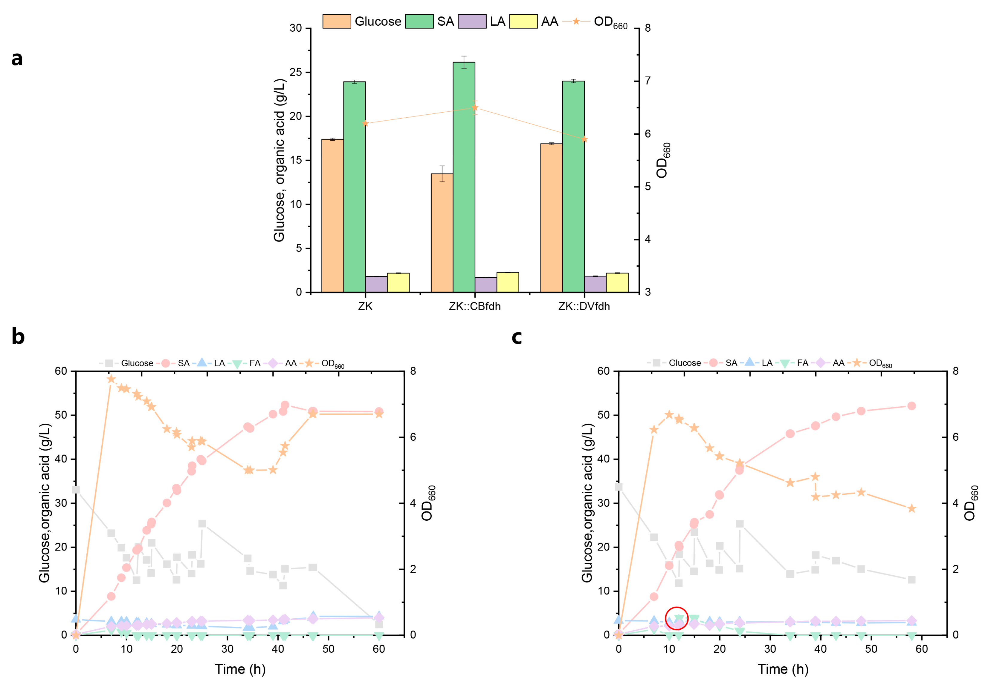 Fermentation 09 01026 g004