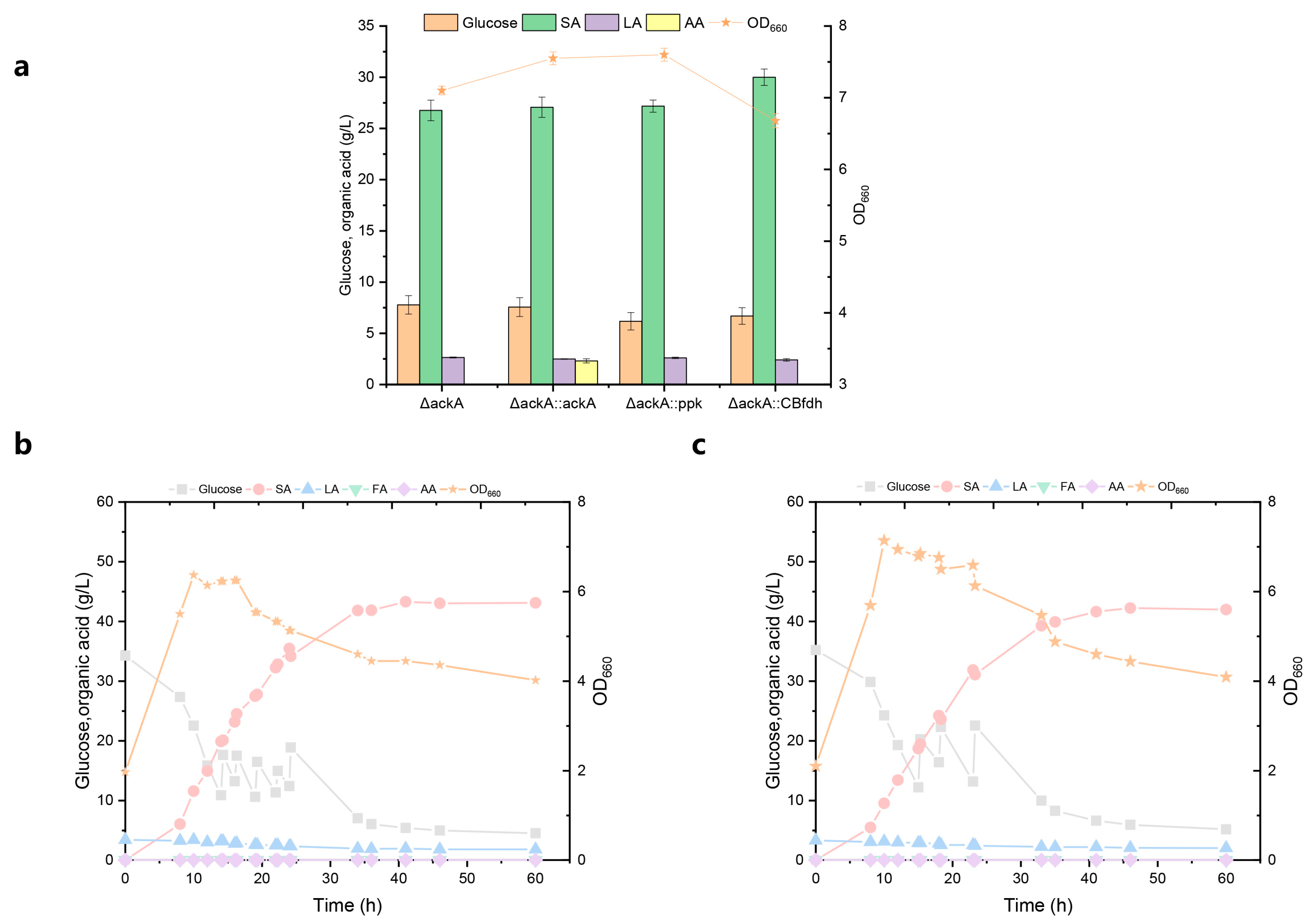 Fermentation 09 01026 g005