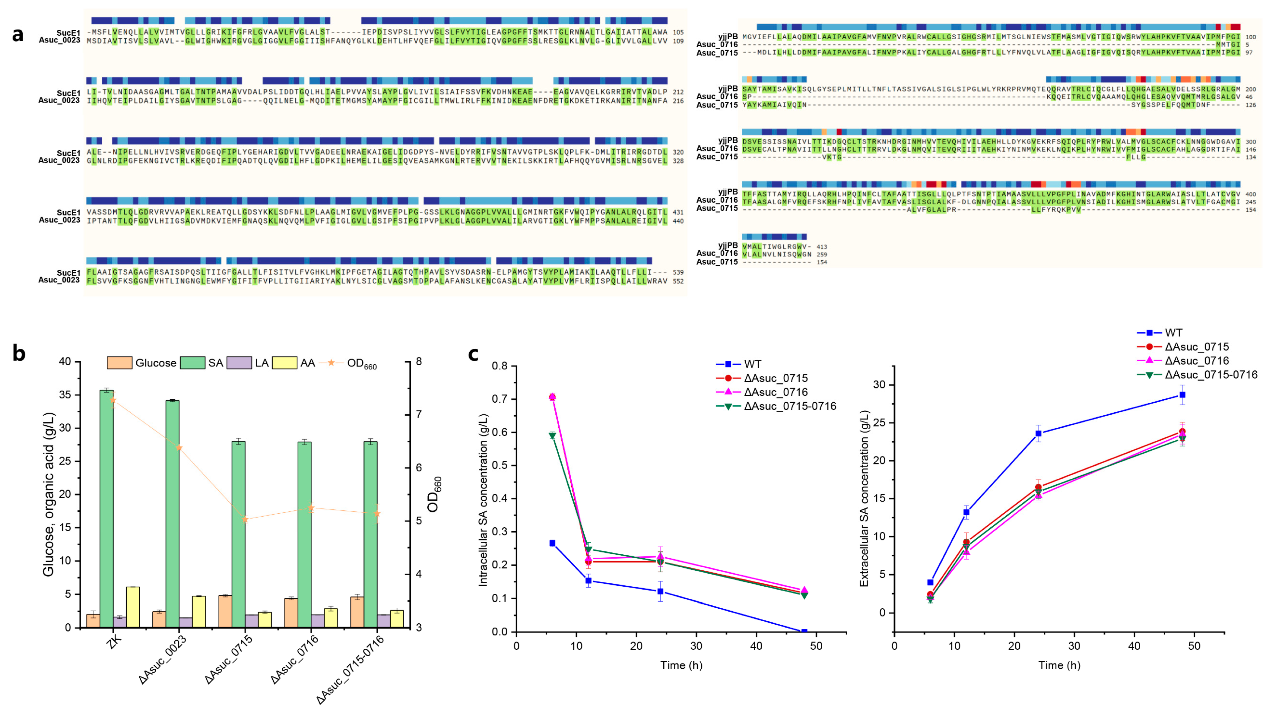 Fermentation 09 01026 g008
