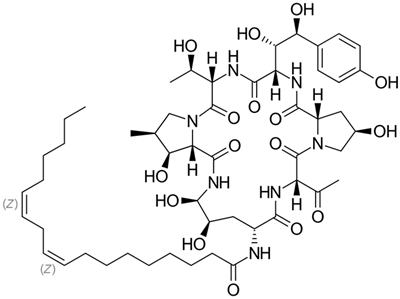 Fermentation 09 01027 i007