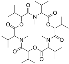 Fermentation 09 01027 i012