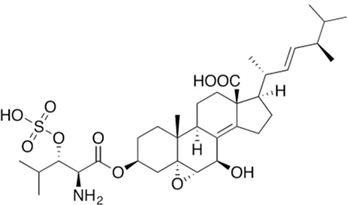 Fermentation 09 01027 i017