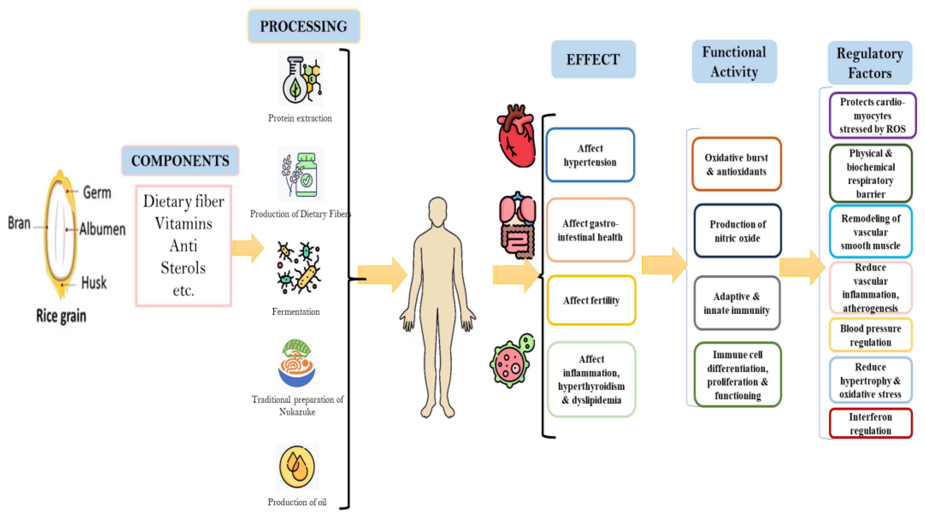 Fermentation 10 00003 g002