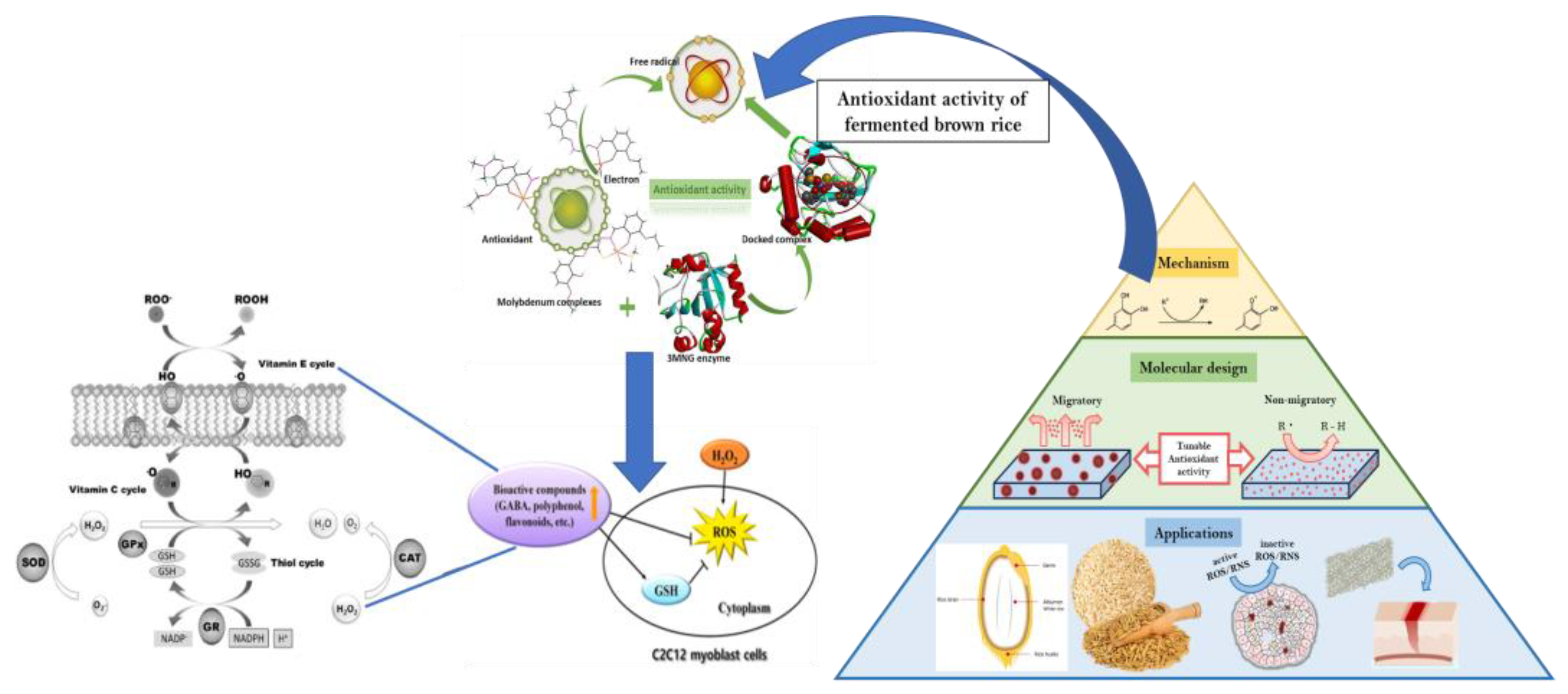 Fermentation 10 00003 g004