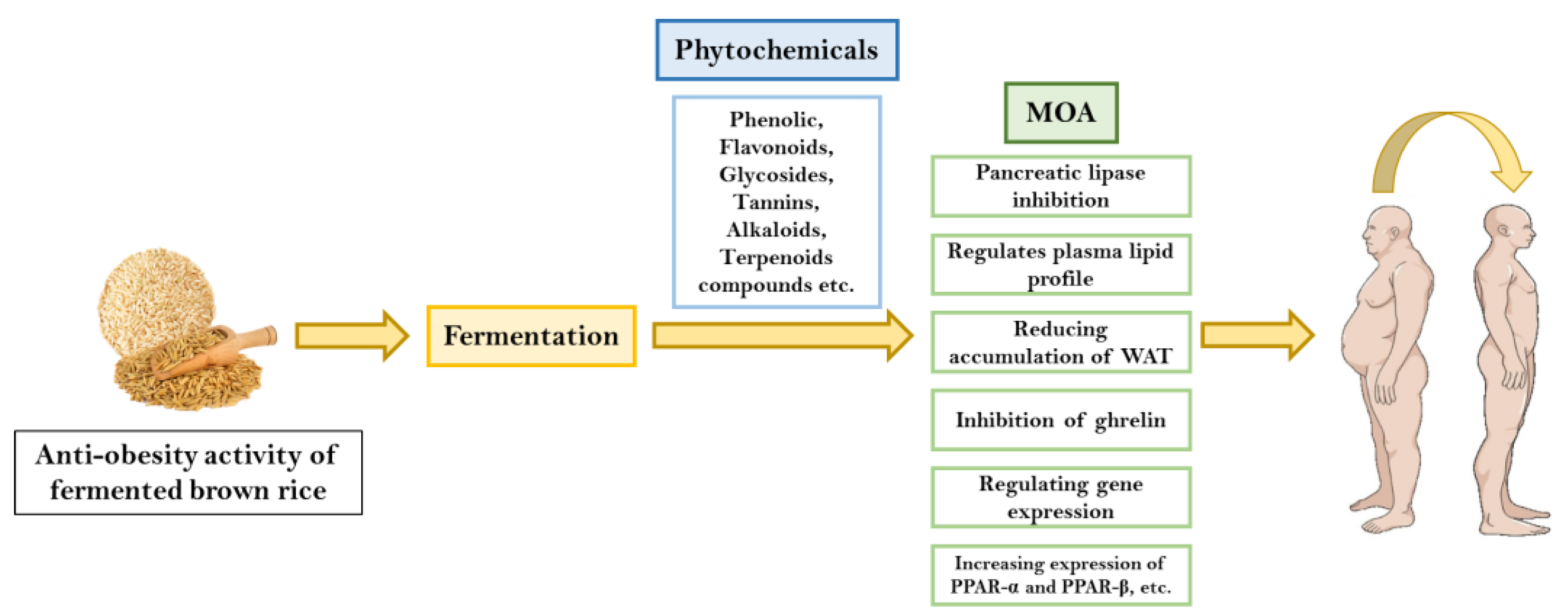 Fermentation 10 00003 g005