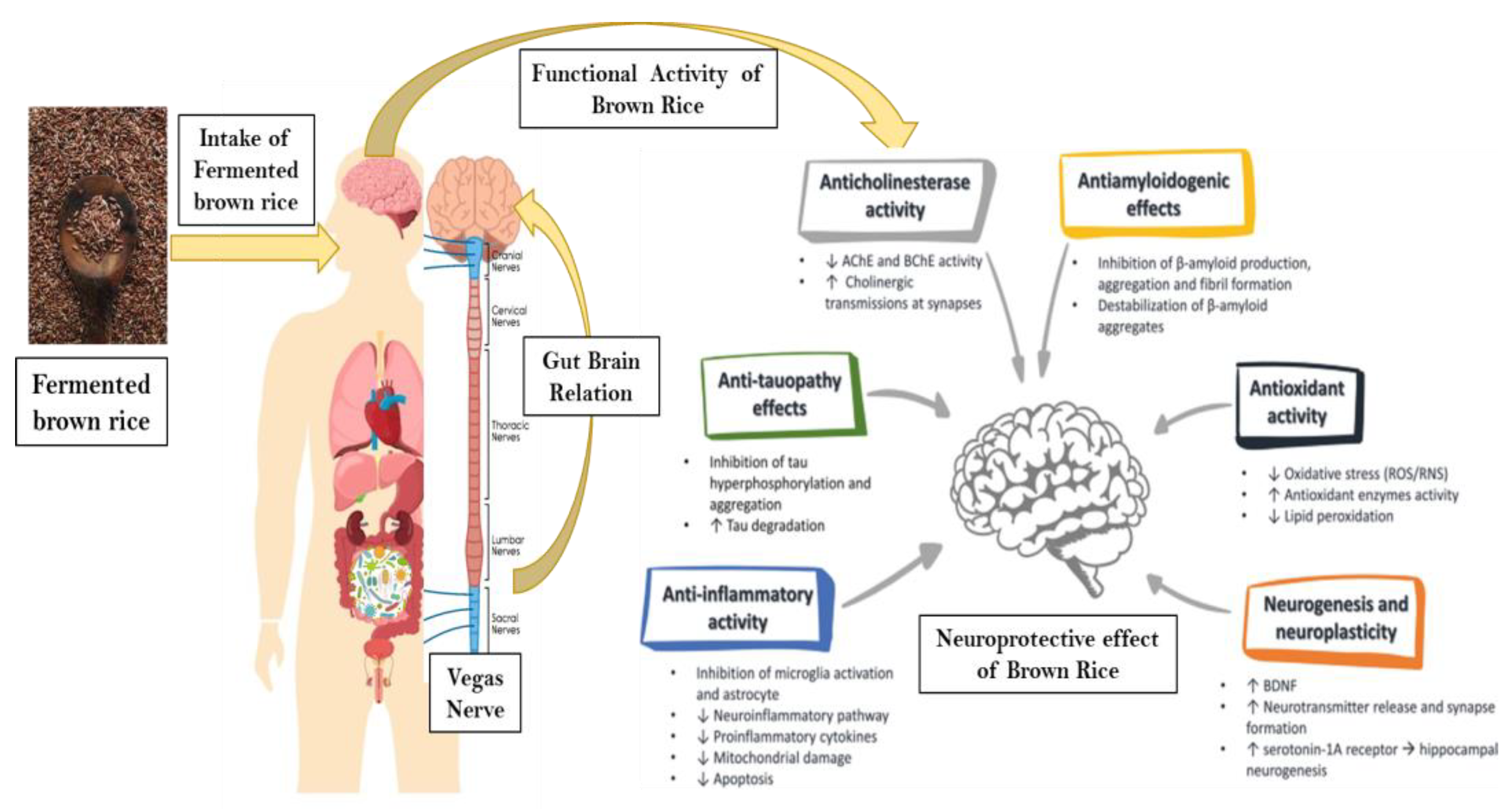 Fermentation 10 00003 g006