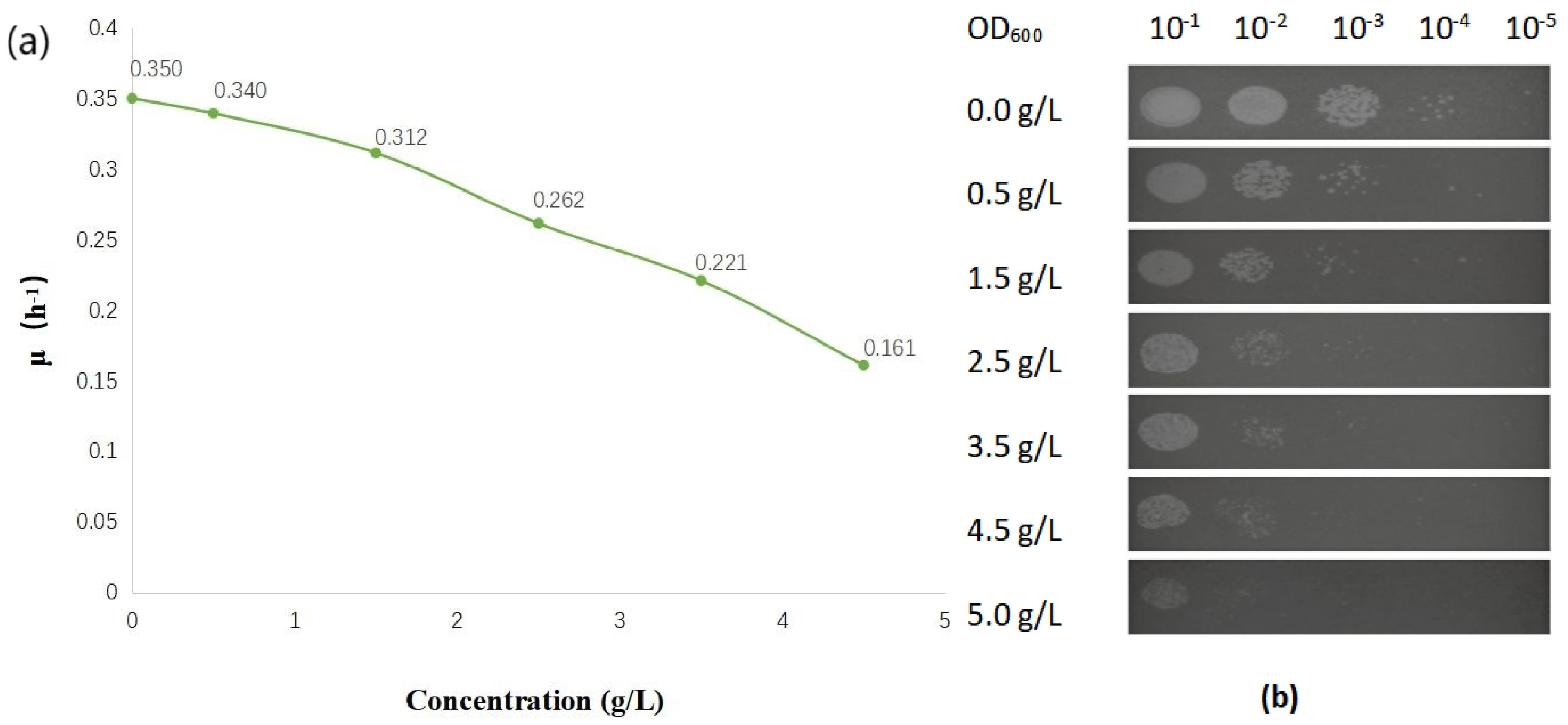 Fermentation 10 00004 g001