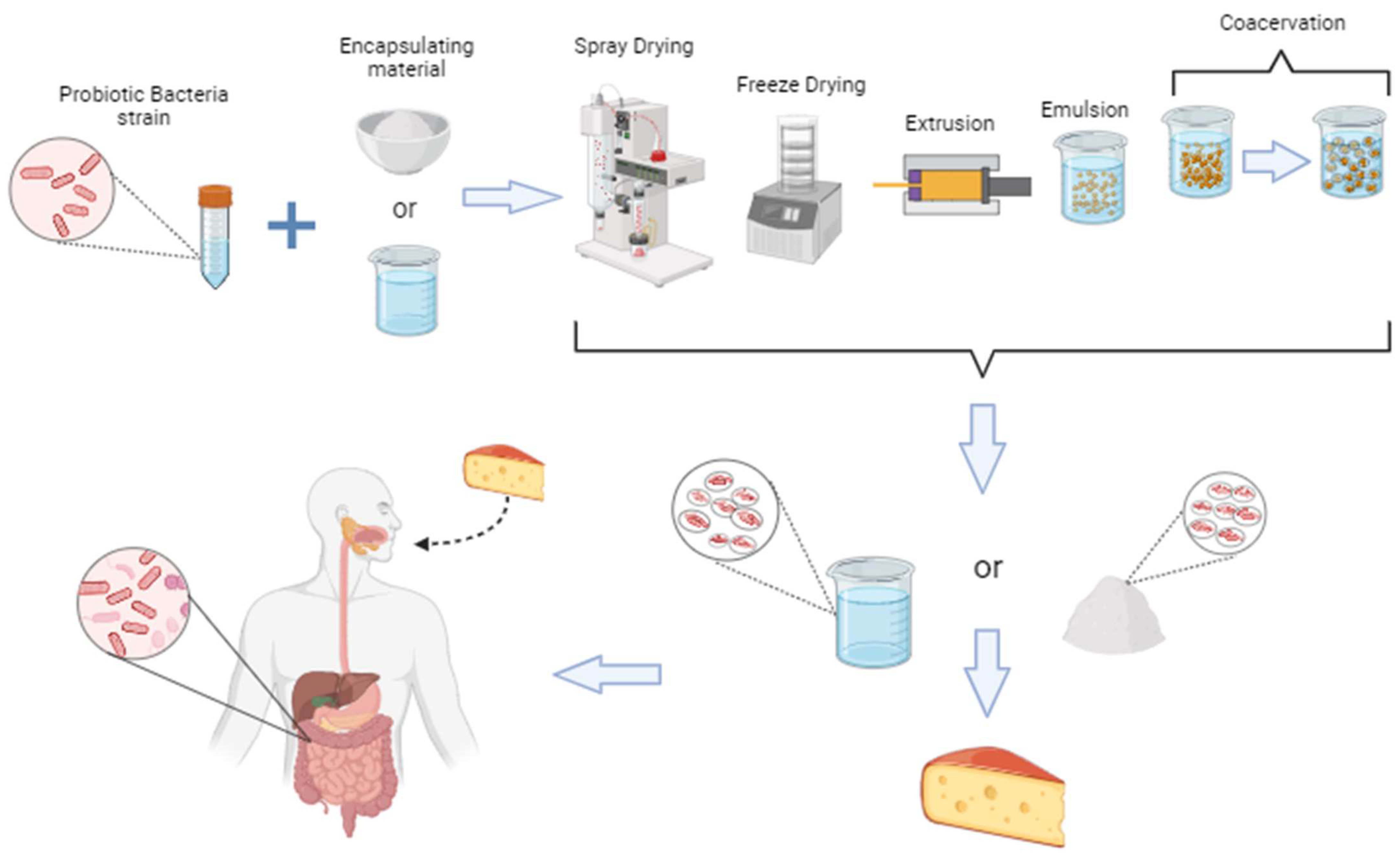 Fermentation 10 00008 g001