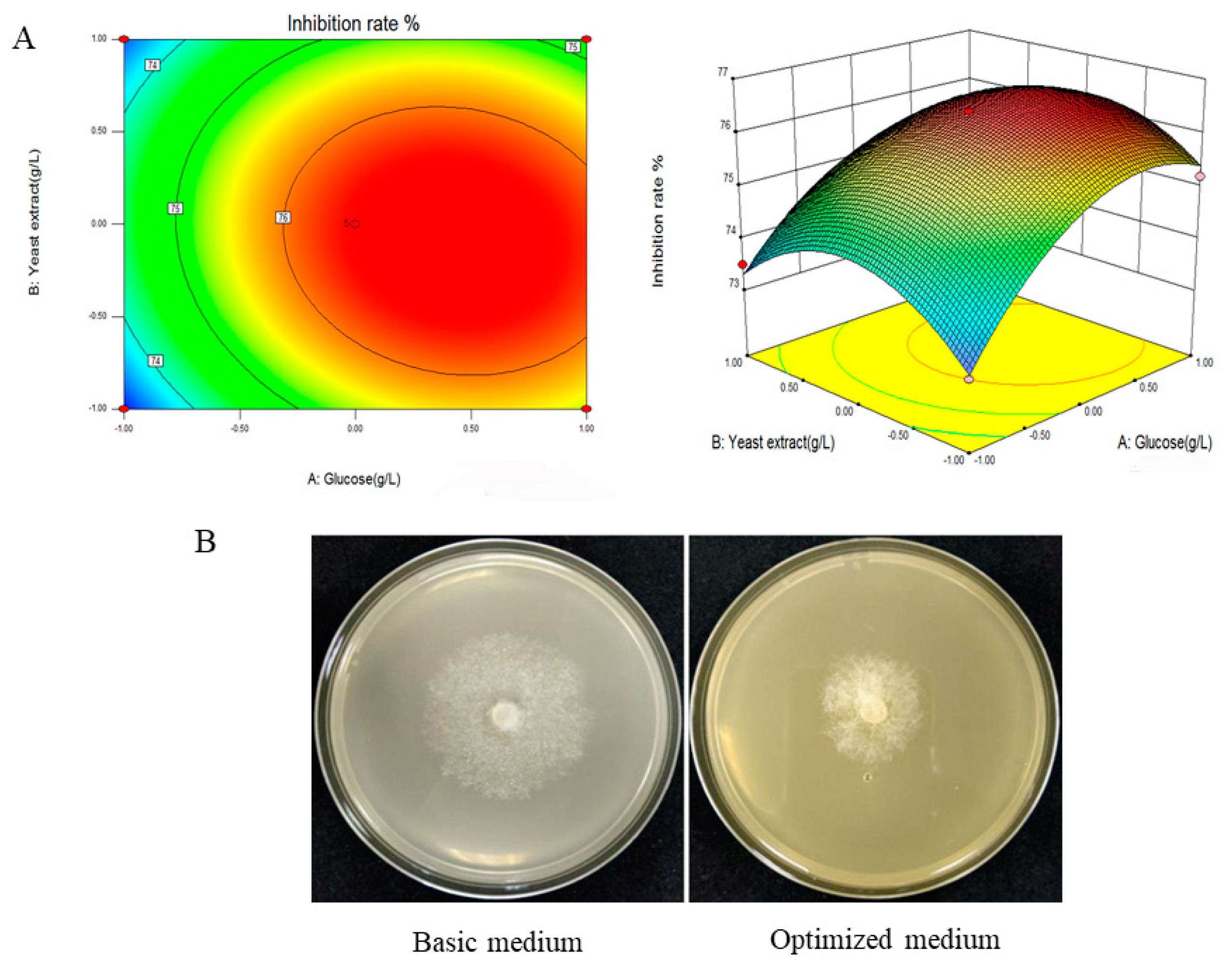 Fermentation 10 00021 g002