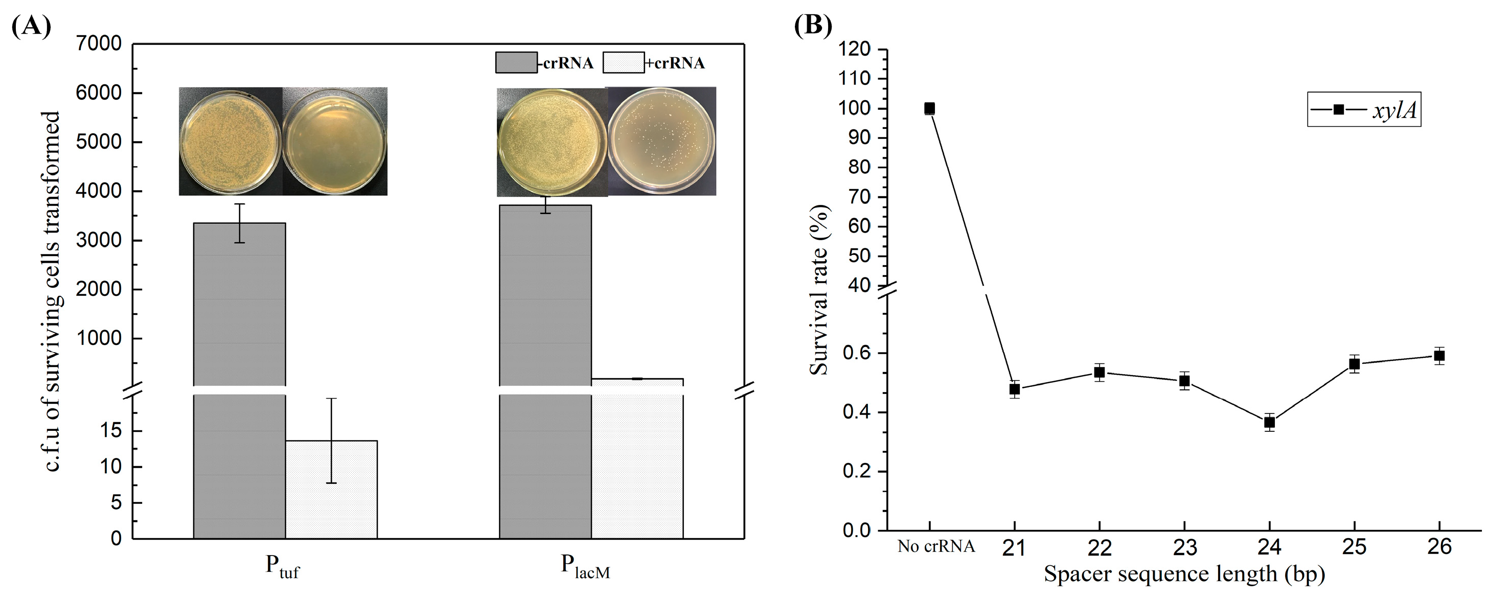 Fermentation 10 00031 g004
