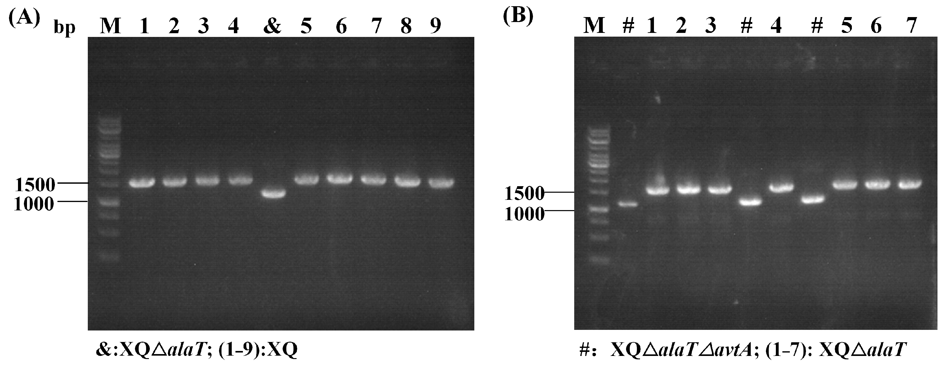 Fermentation 10 00031 g007