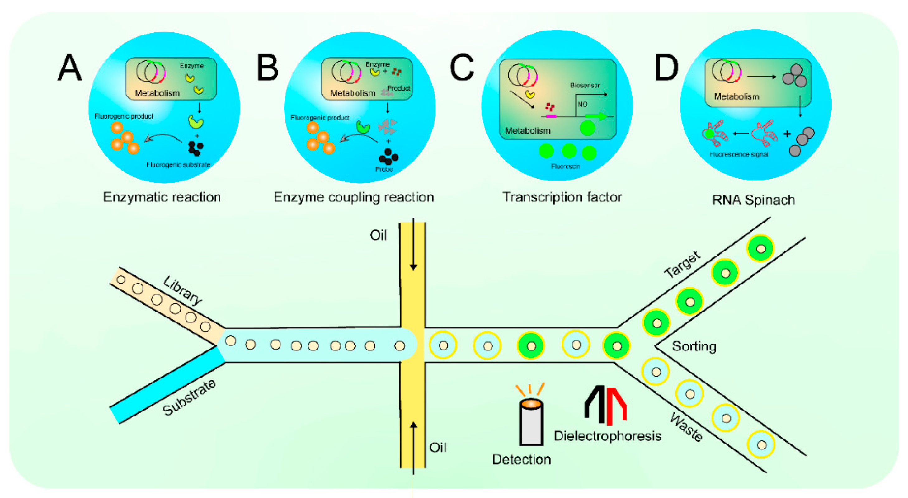 Fermentation 10 00033 g002