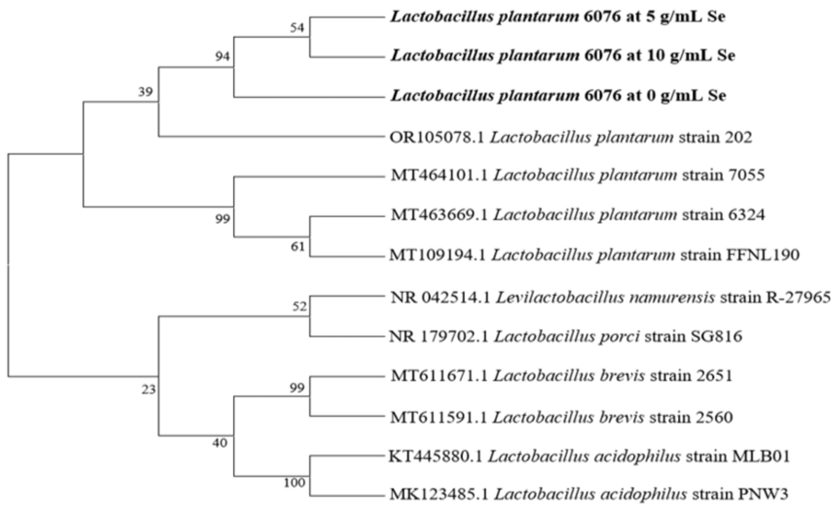 Fermentation 10 00039 g002