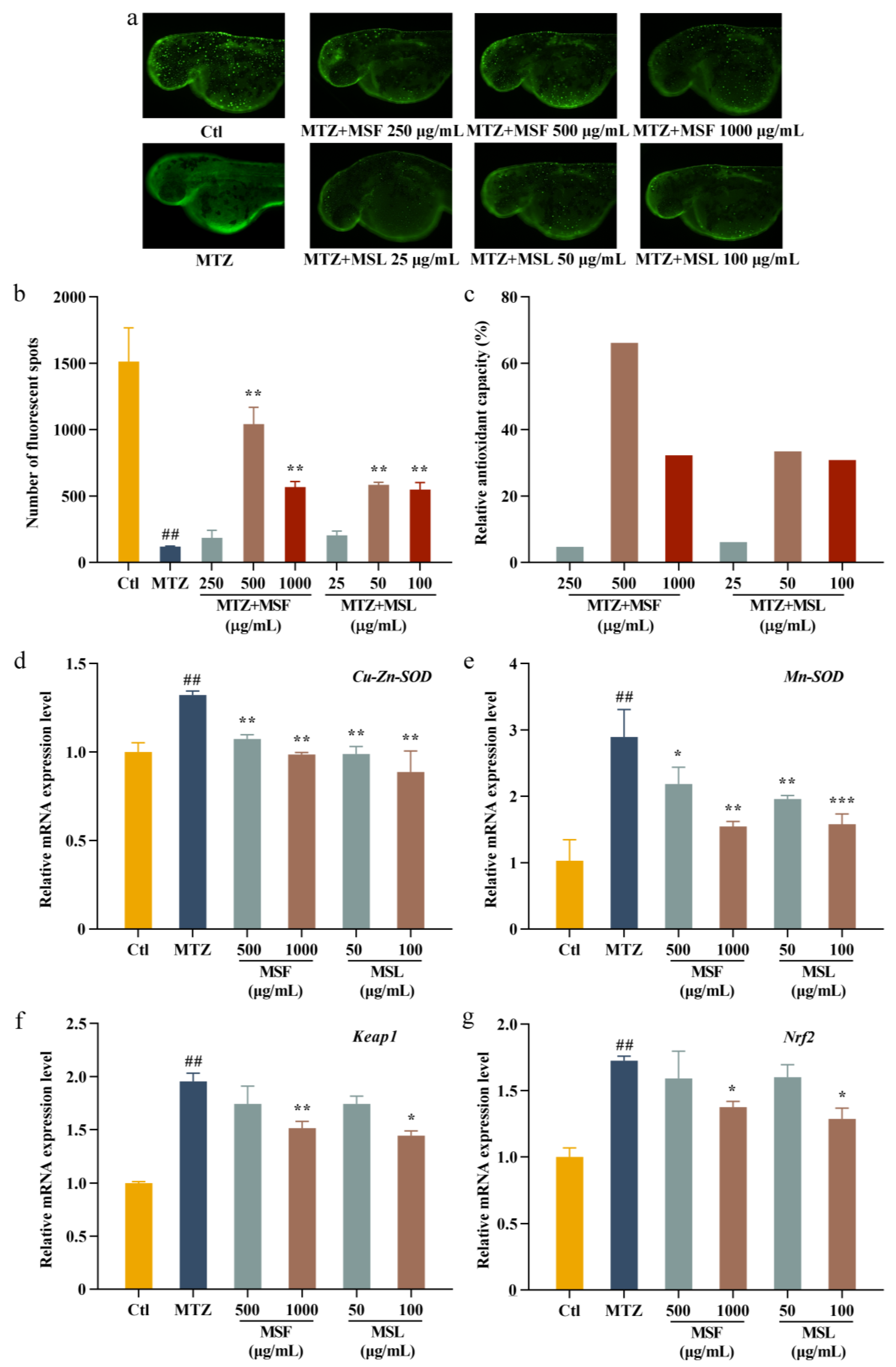 Fermentation 10 00046 g006