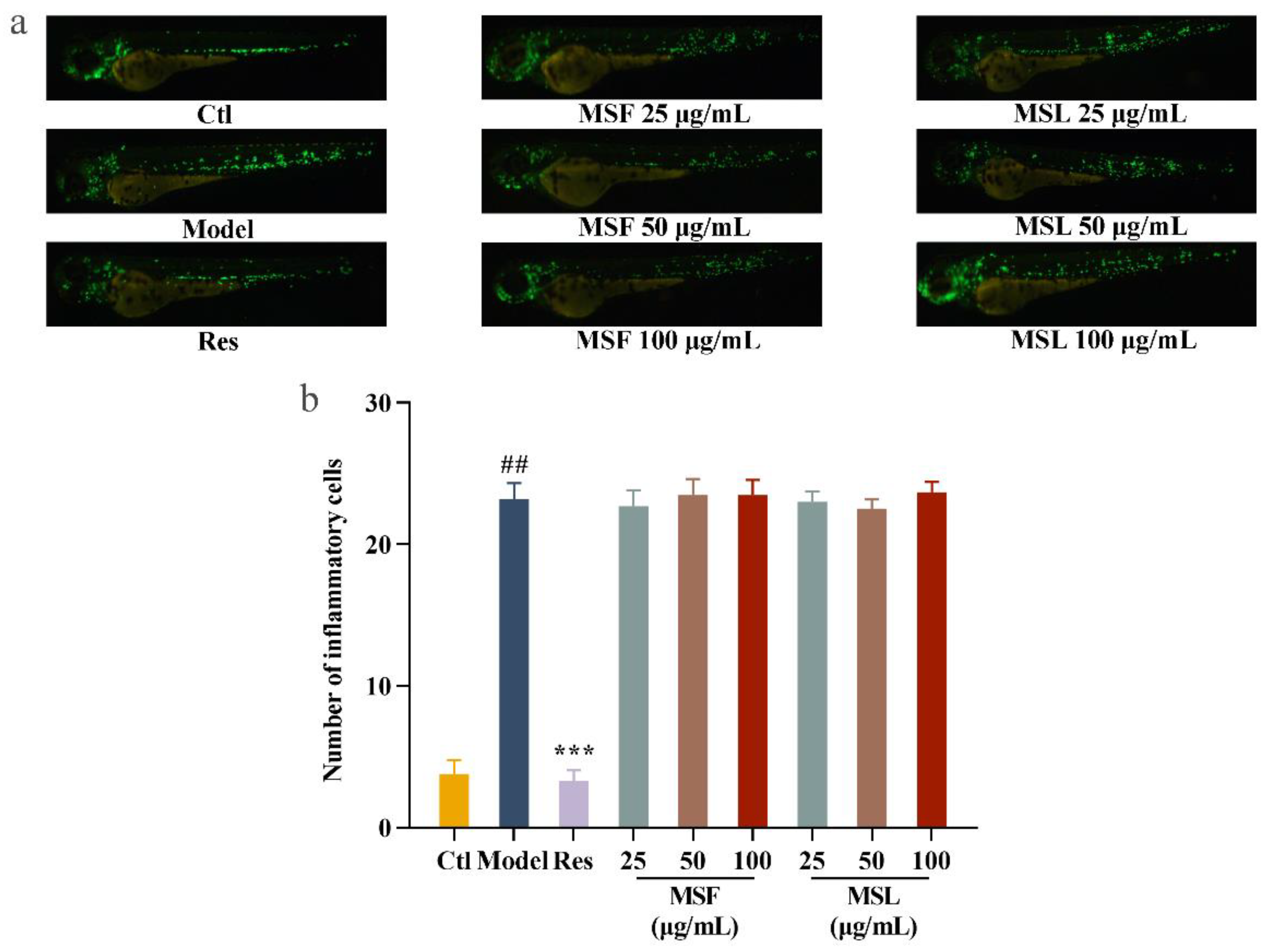 Fermentation 10 00046 g007
