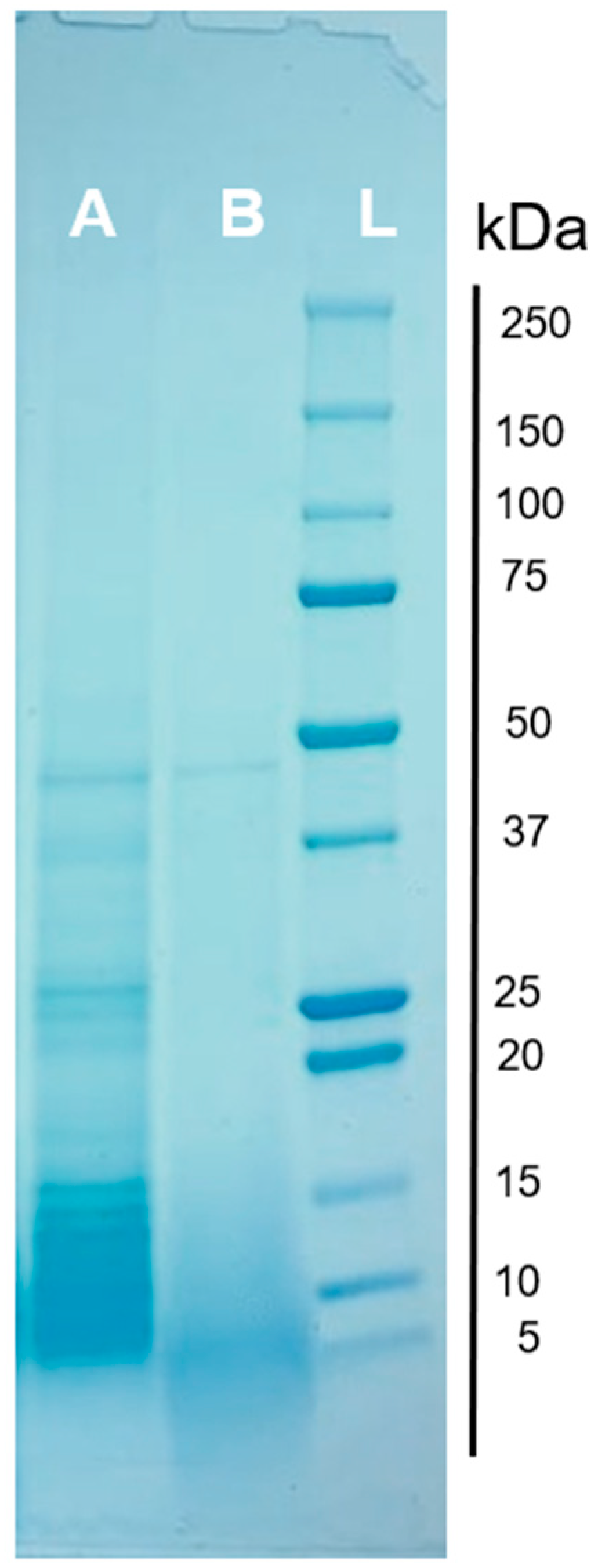 Fermentation 10 00054 g004
