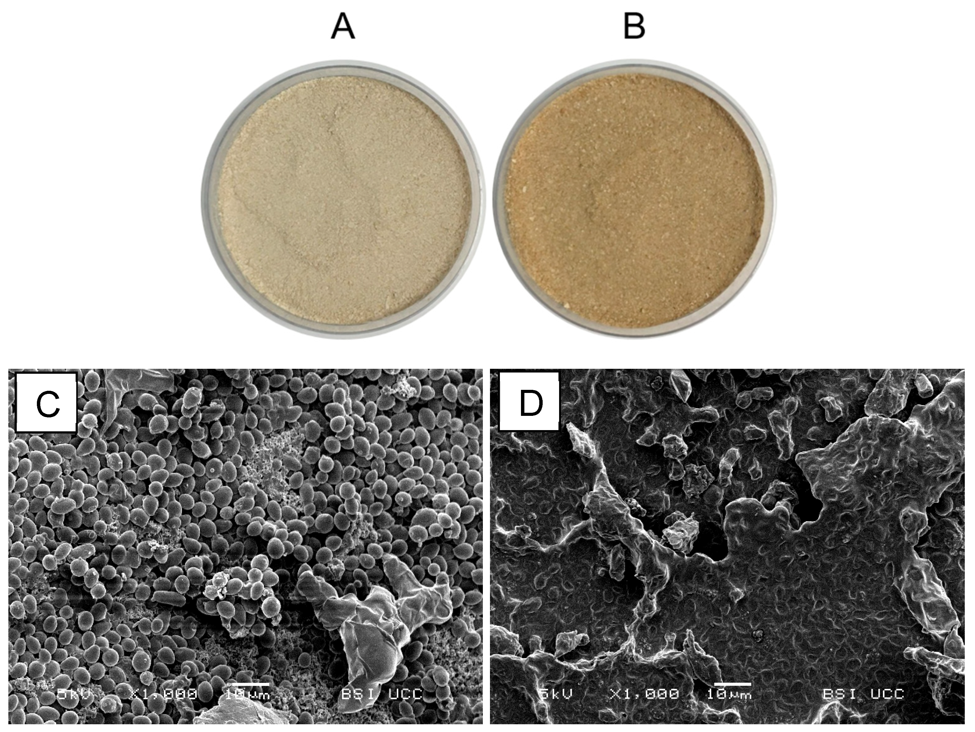 Fermentation 10 00054 g006